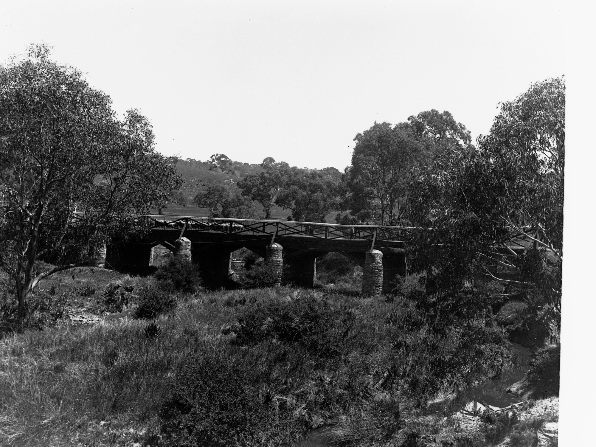 Rural Scene with Bridge and Sheep in Background