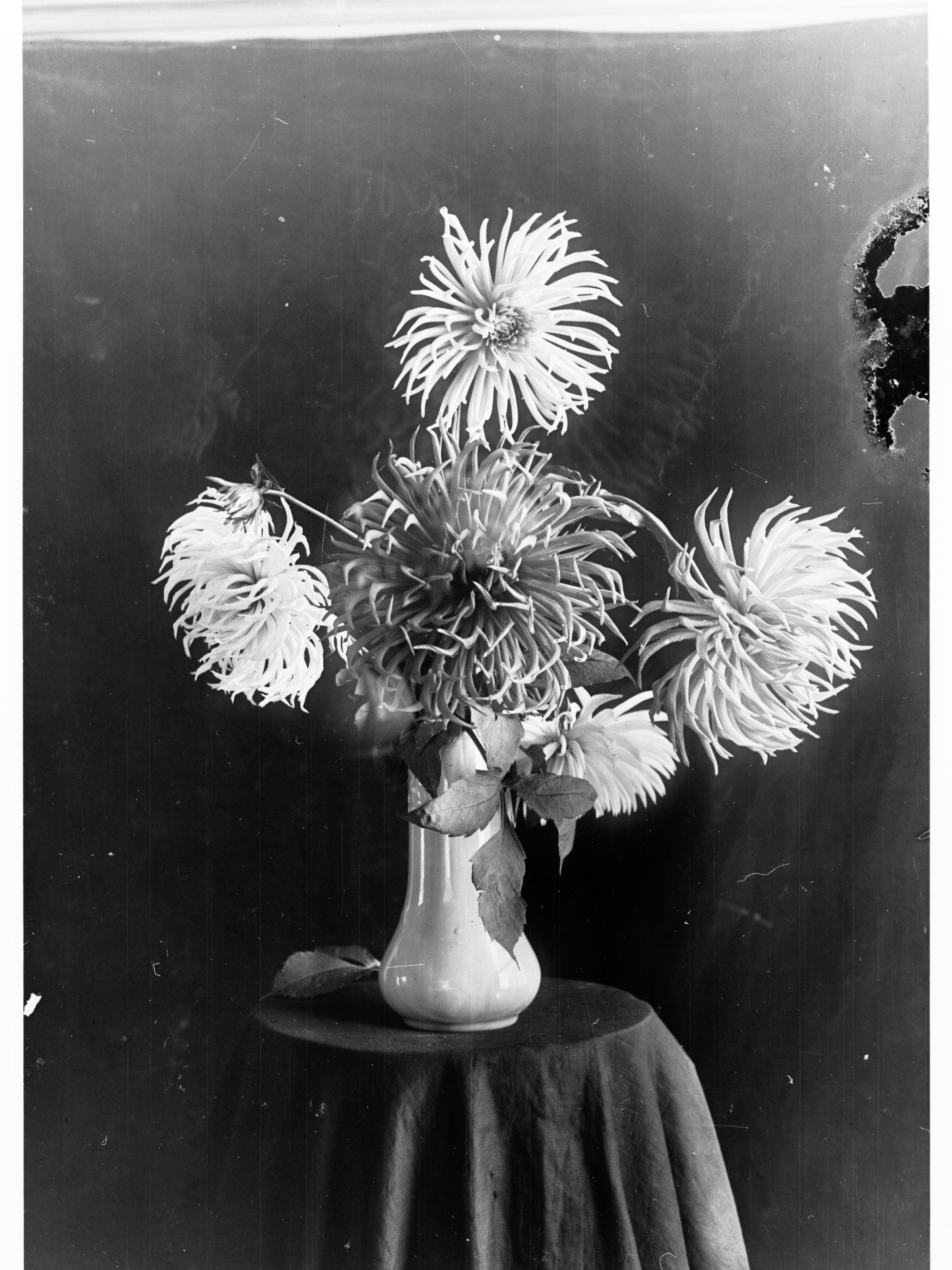 Flowers in a Vase