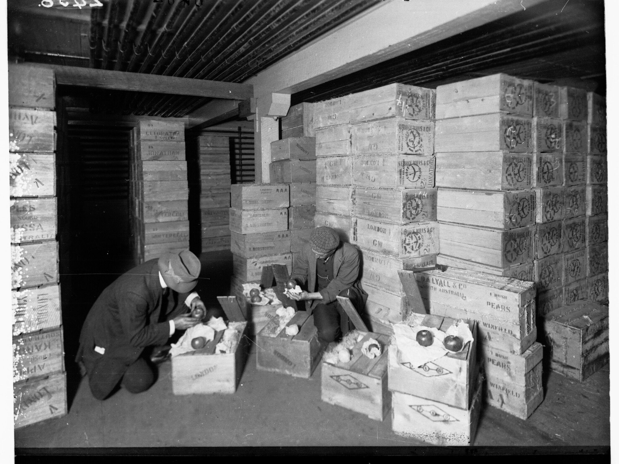 Port Adelaide Government Export Depot Inspecting Fruit