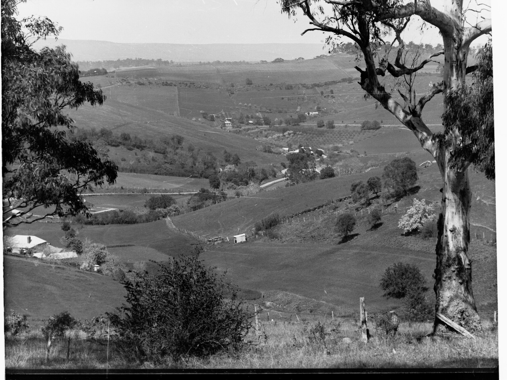 View of Farms and Houses Mount Lofty Ranges