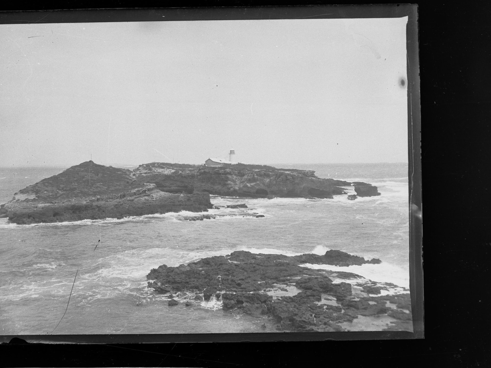 Penguin Island 