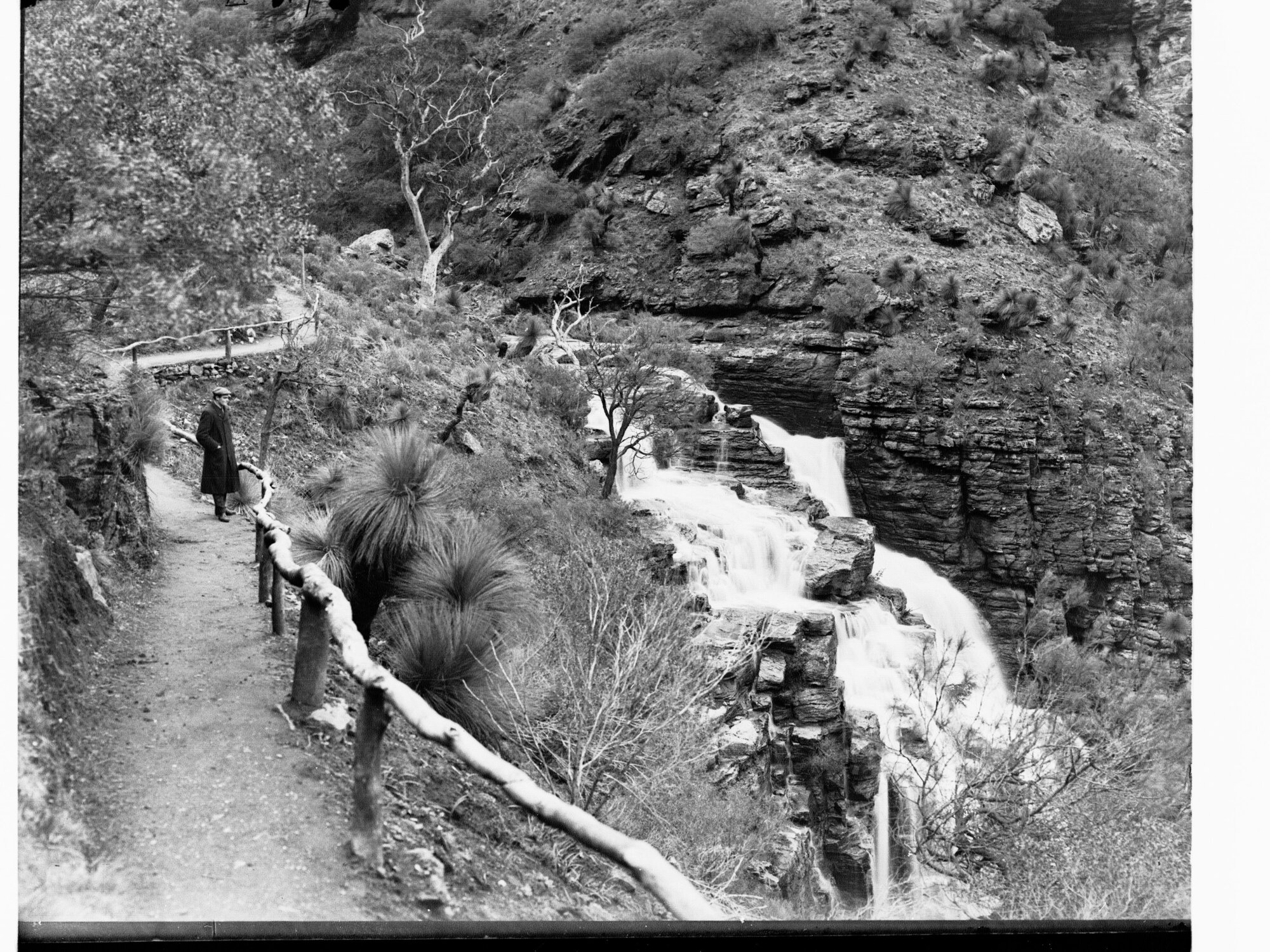 Waterfall Gully