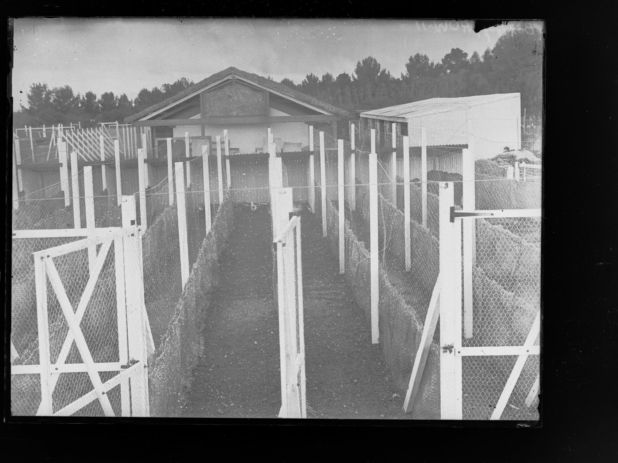 Fowl pen at Roseworthy Agricultural College