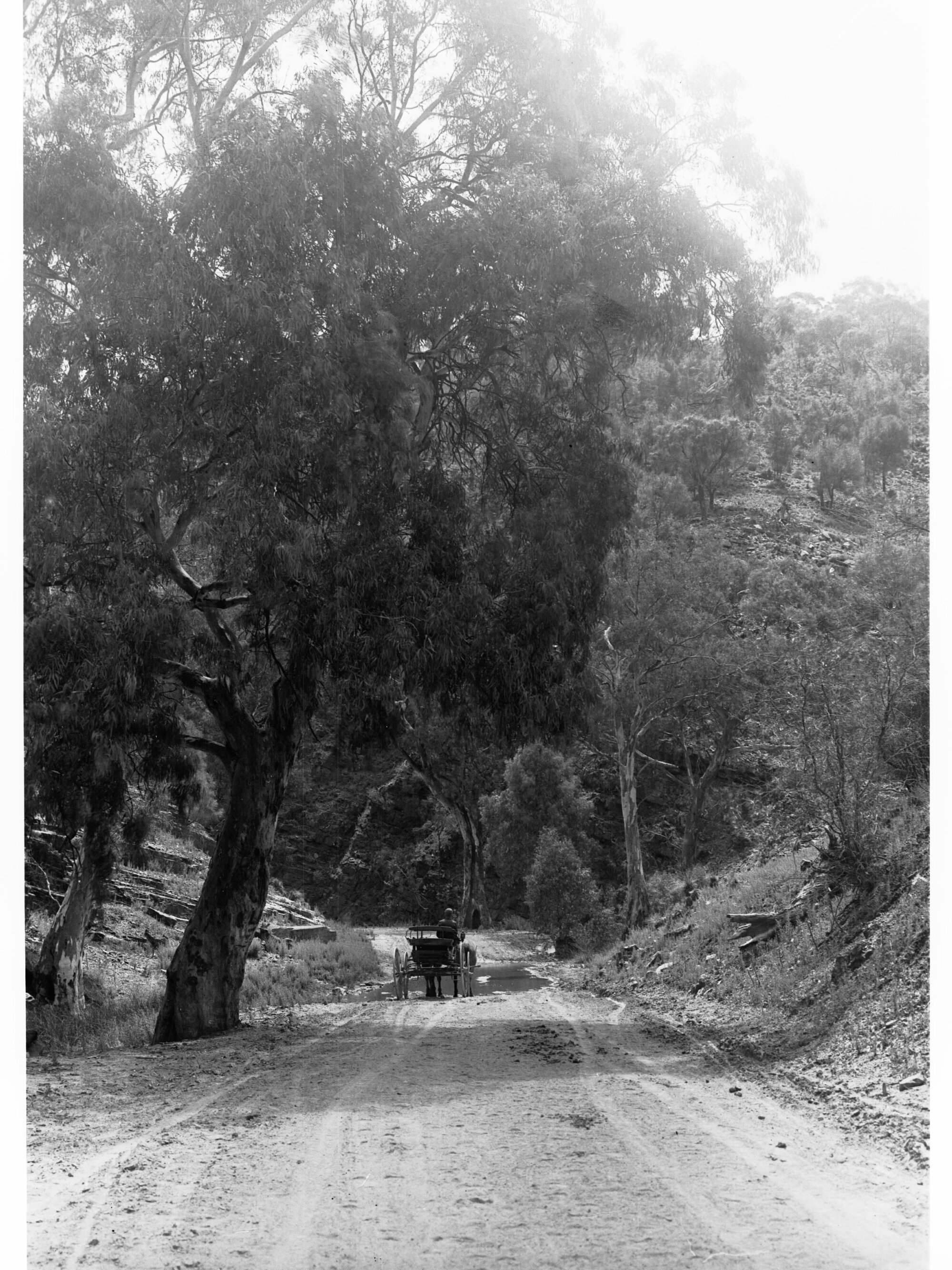 Road in Port Germein Gorge