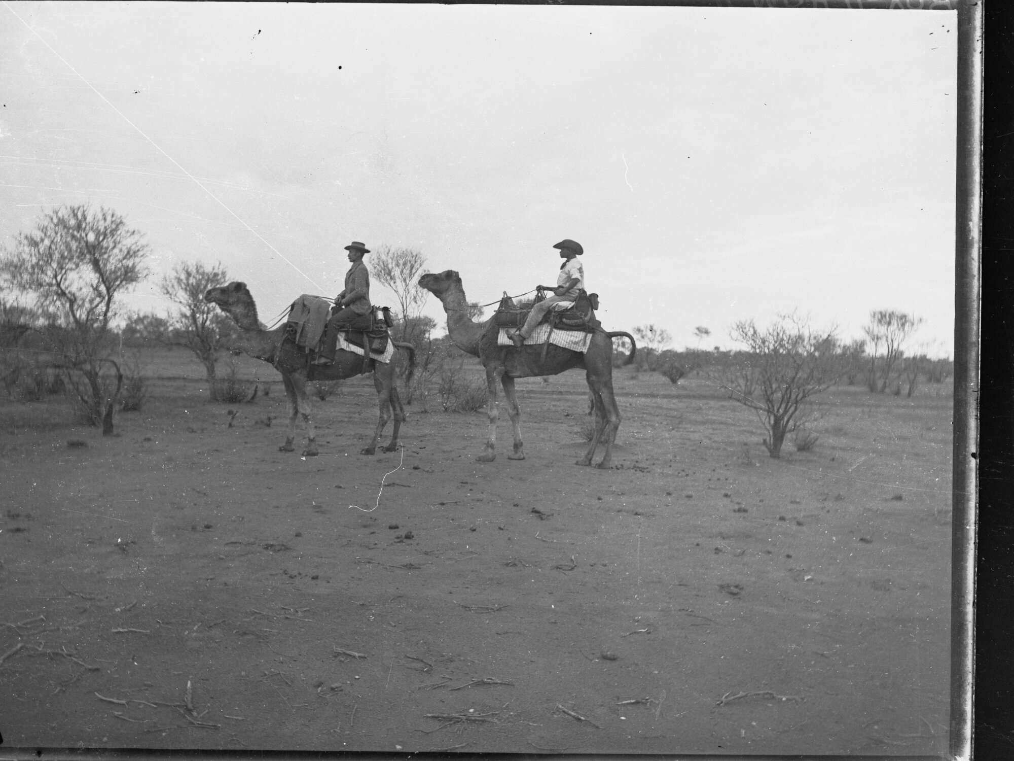 Two men riding camels - Northern Territory