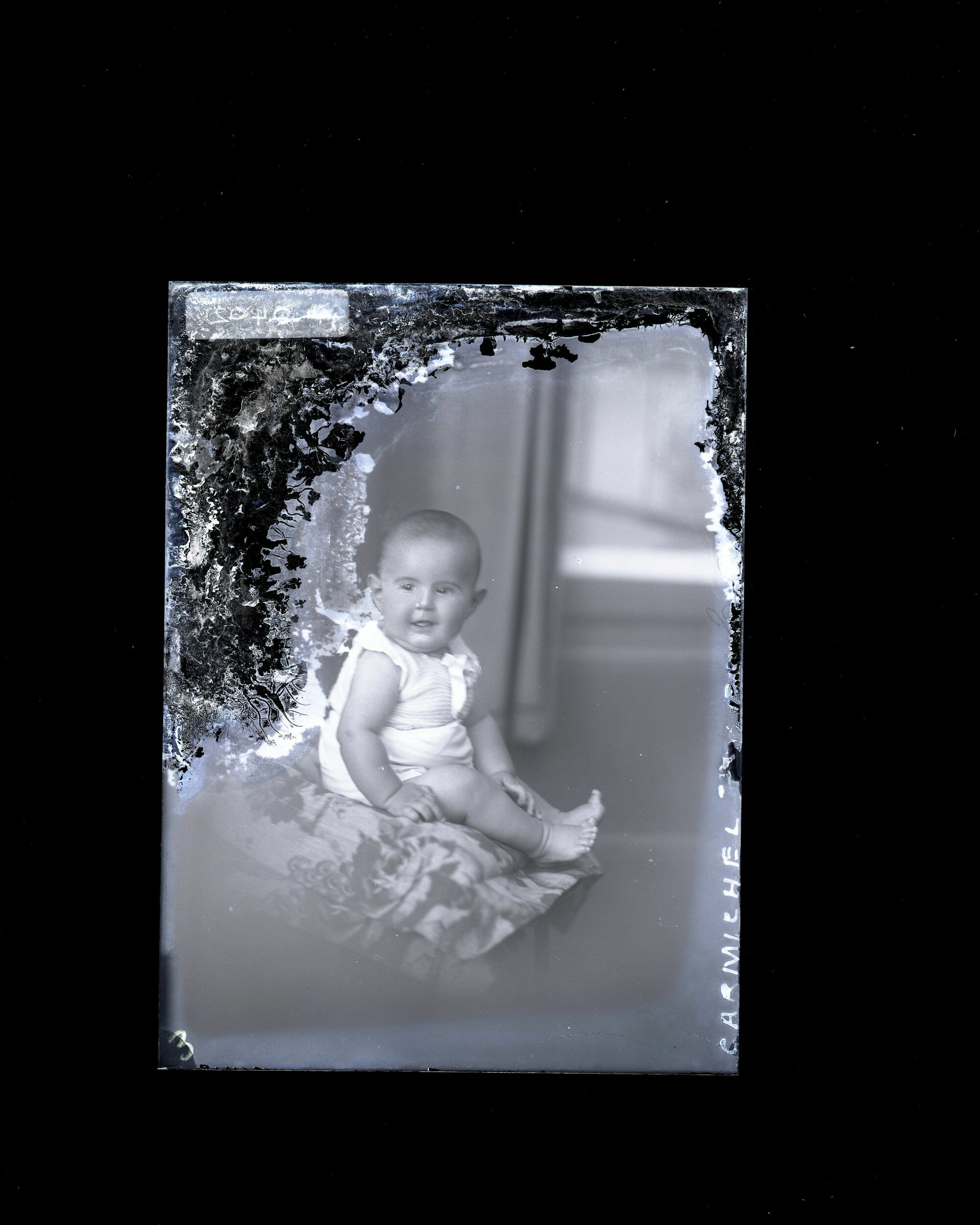Infant - Carmichel