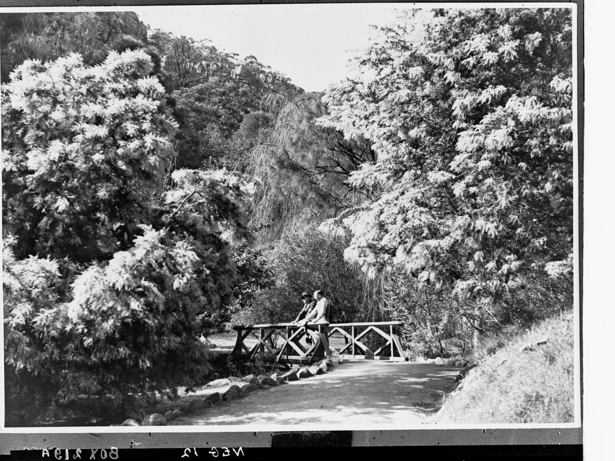 Two Men Standing on a Bridge in Morialta