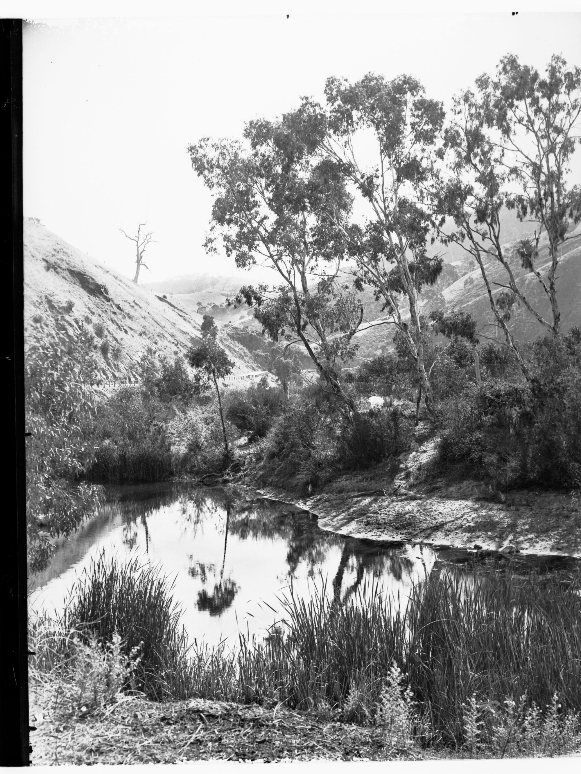 Torrens Gorge Road