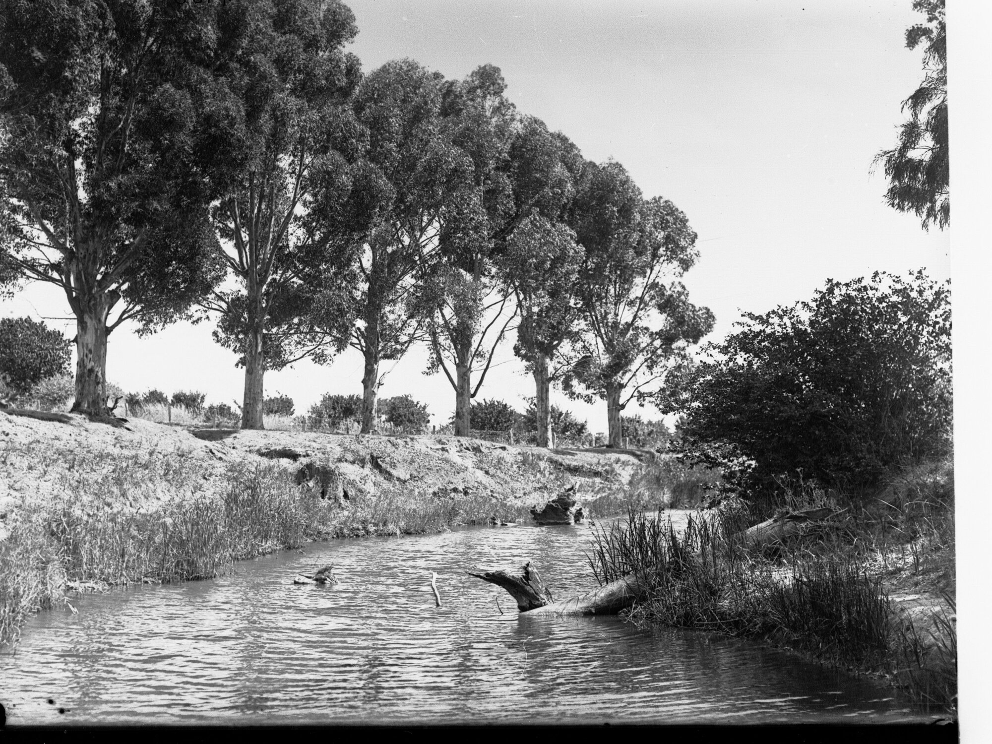 North Para Creek Tanunda, South Australia