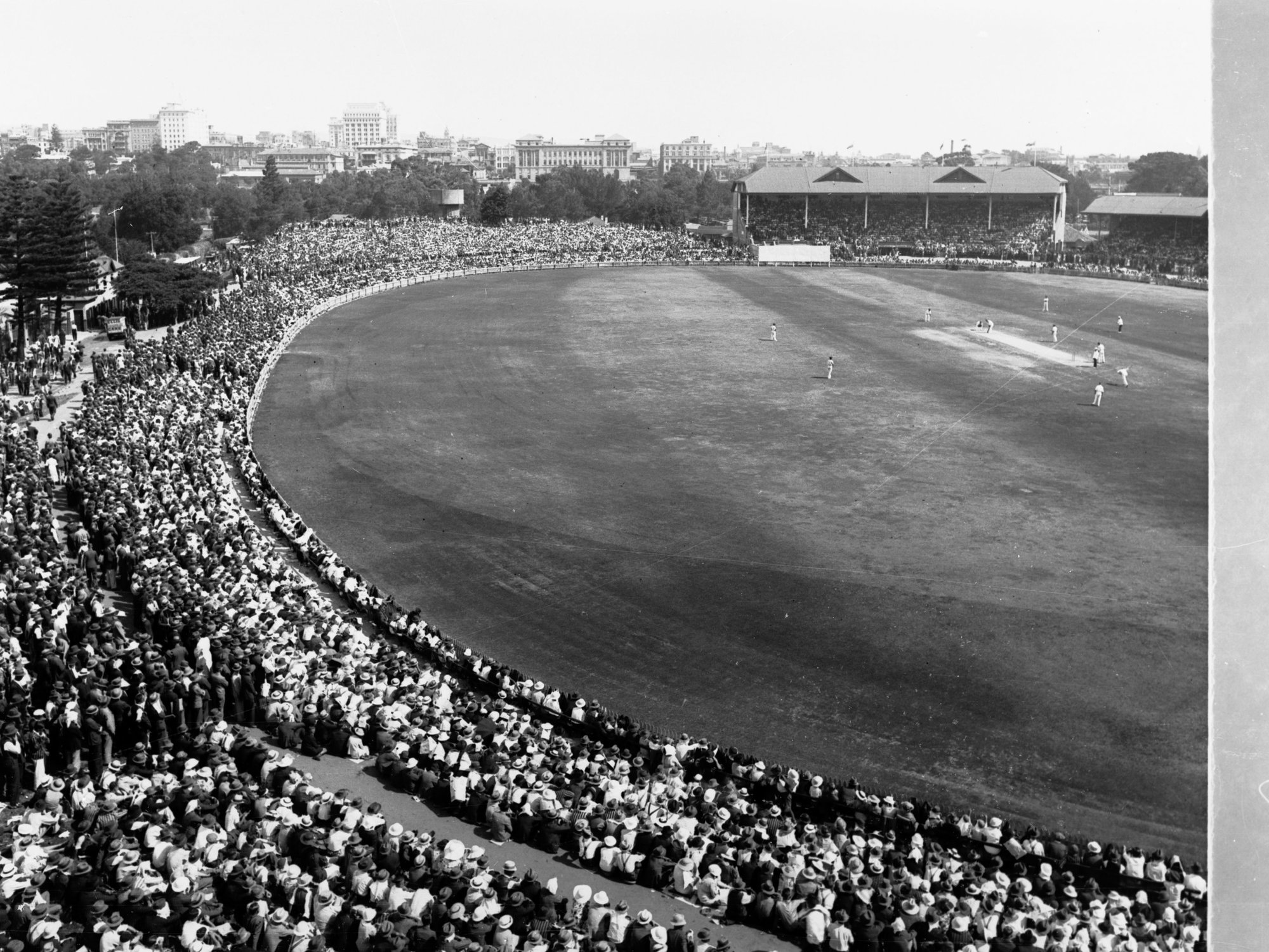 Cricket at Adelaide Oval
