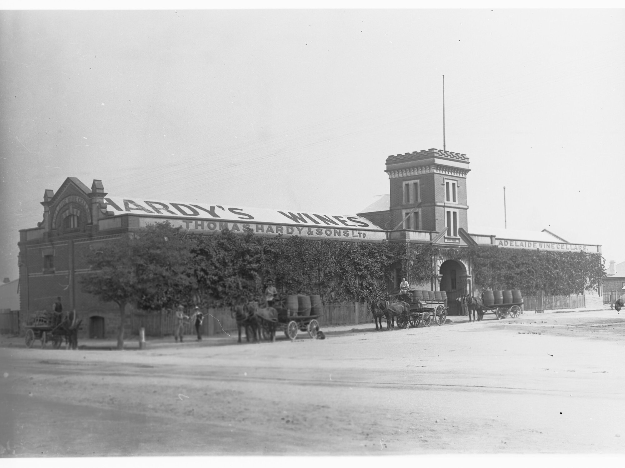 Thomas Hardy &amp; Sons, Adelaide Wine Cellars - East Terrace, Mile End