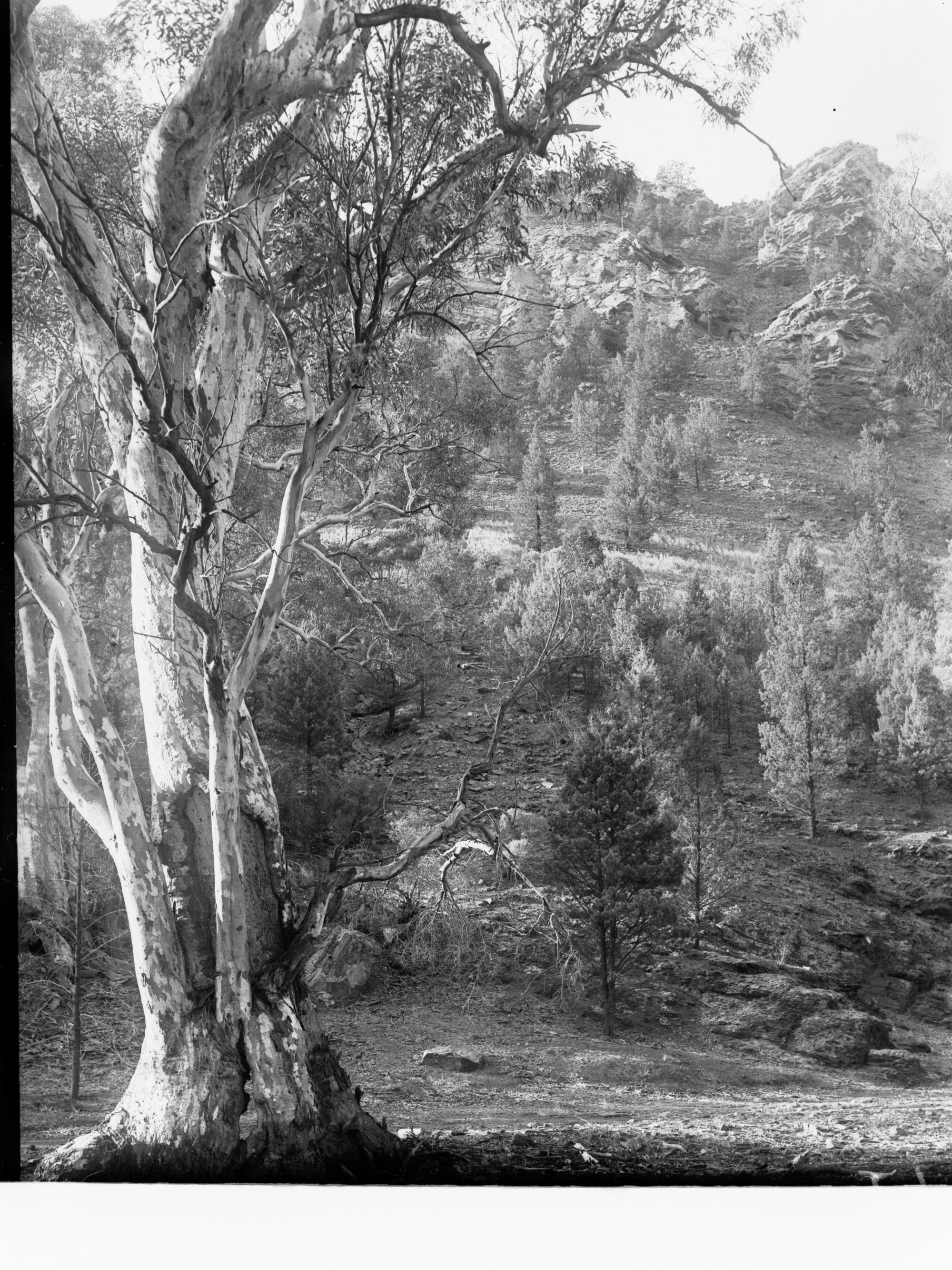 View of Flinders Ranges
