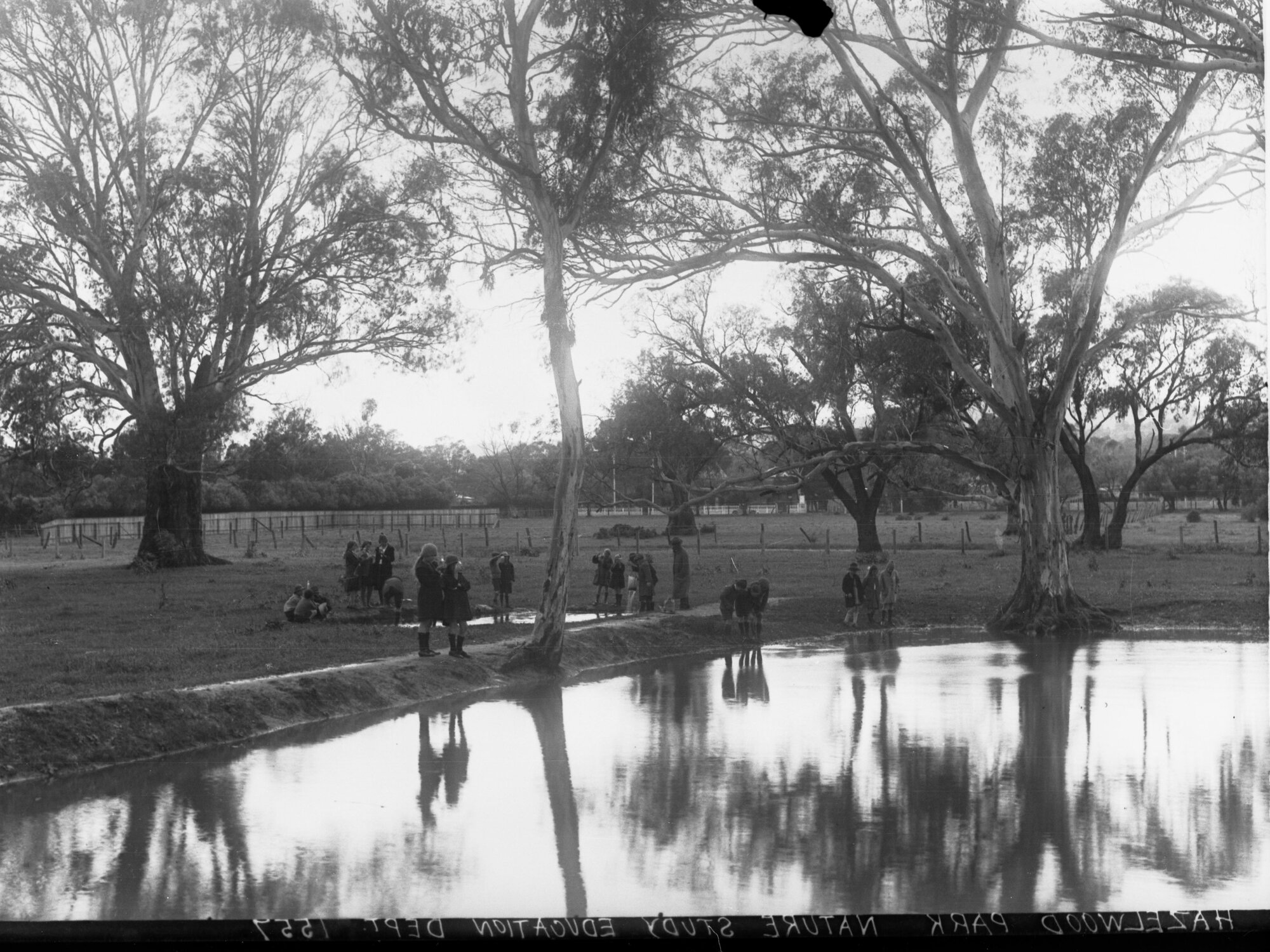 Hazelwood Park