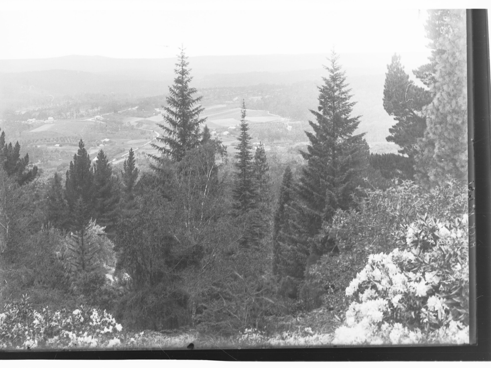 Piccadilly Valley viewed from 'Carminow'