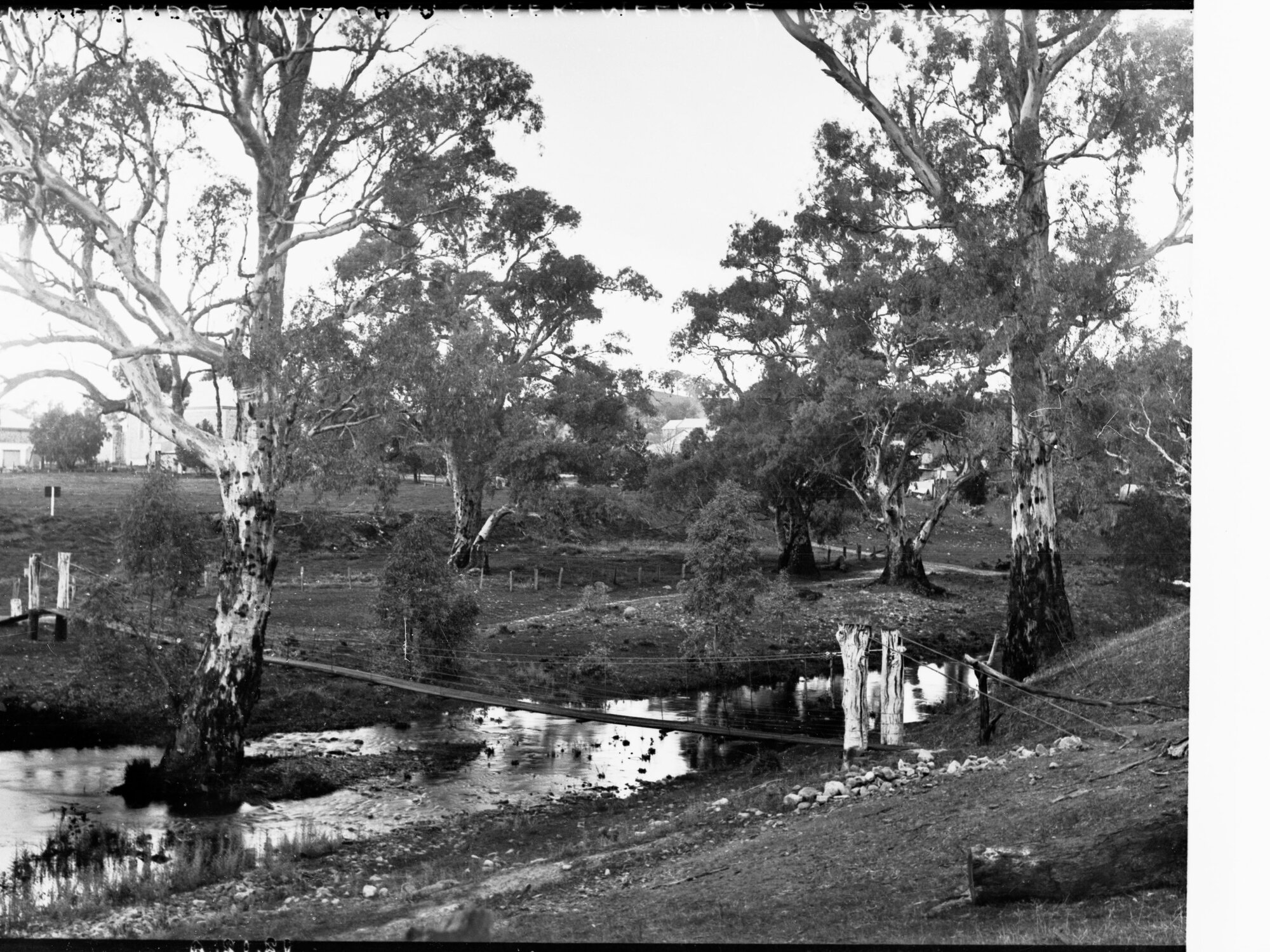 Suspension Bridge Over Willochra Creek Melrose