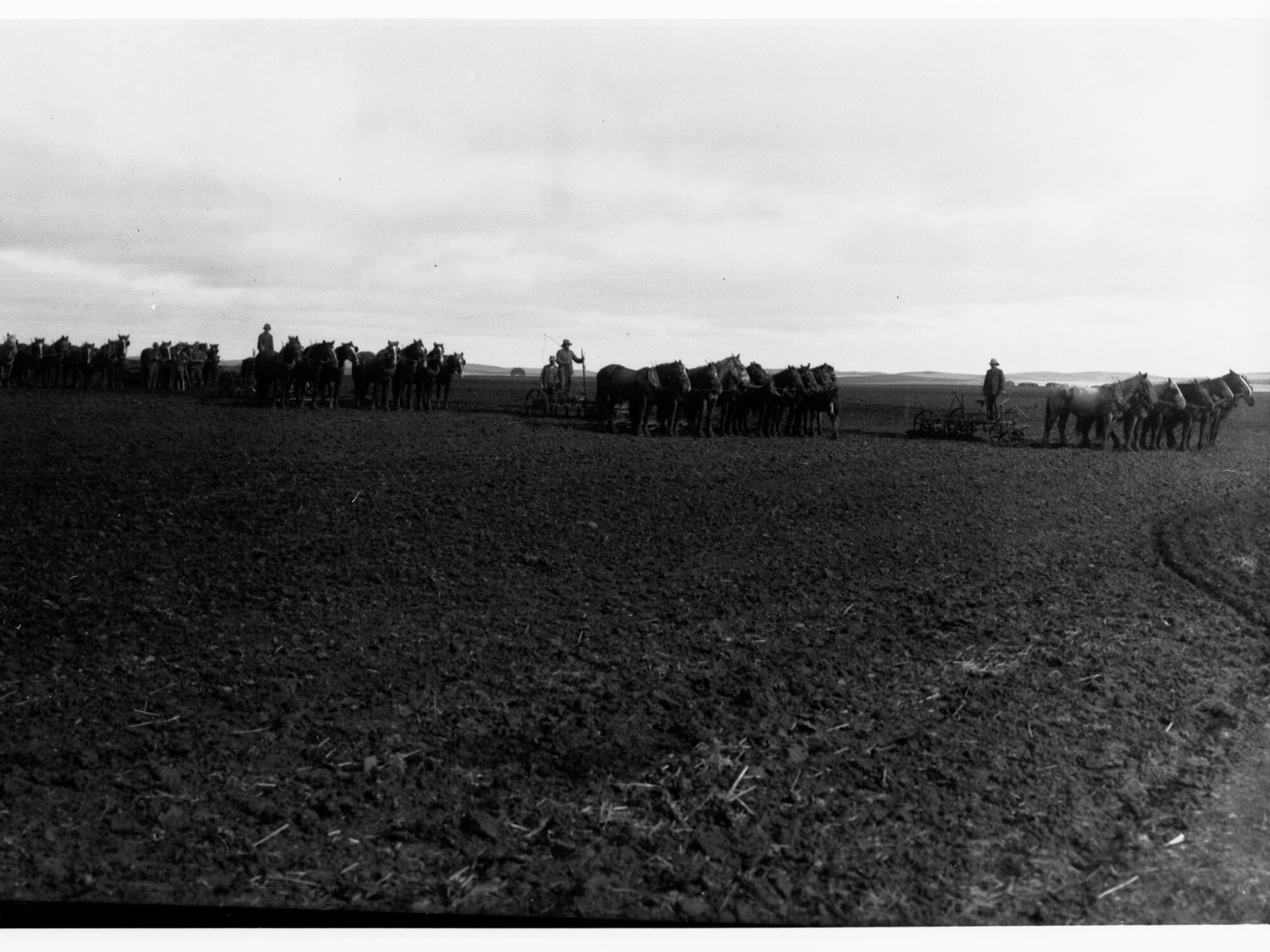Cultivating and ploughing in South Australia