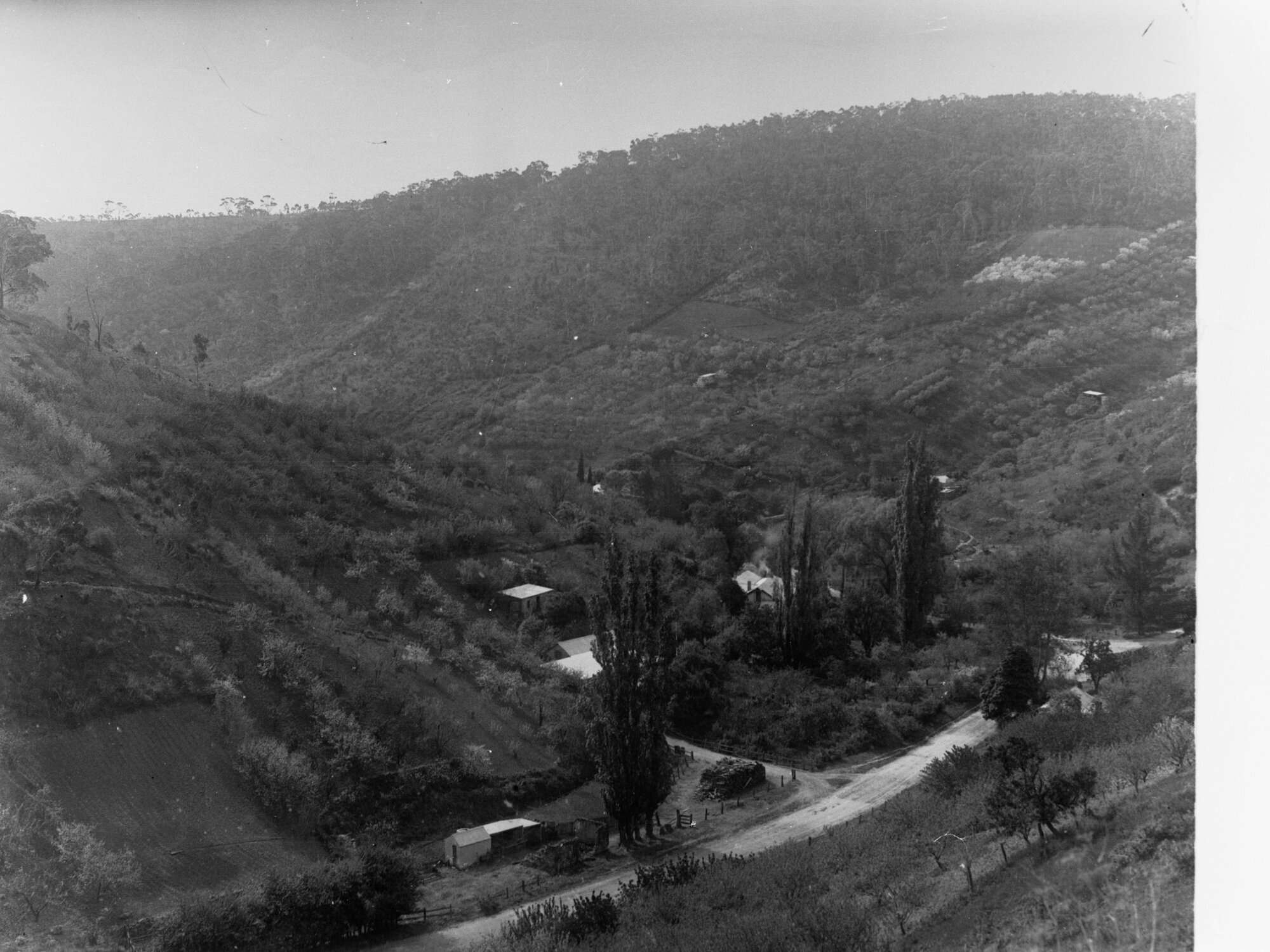 Nortons Summit Mount Lofty ranges including cottages