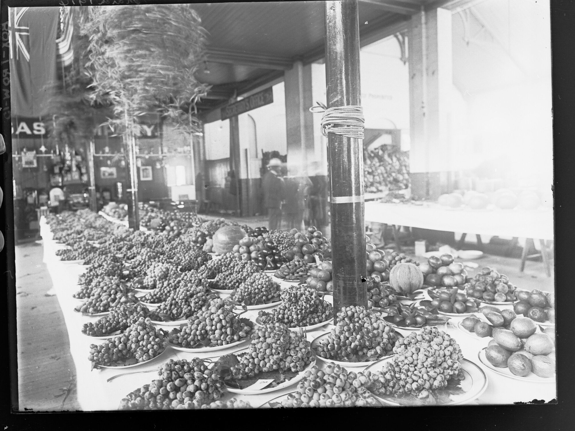 Show Exhibit of Grapes, Royal Adelaide Show