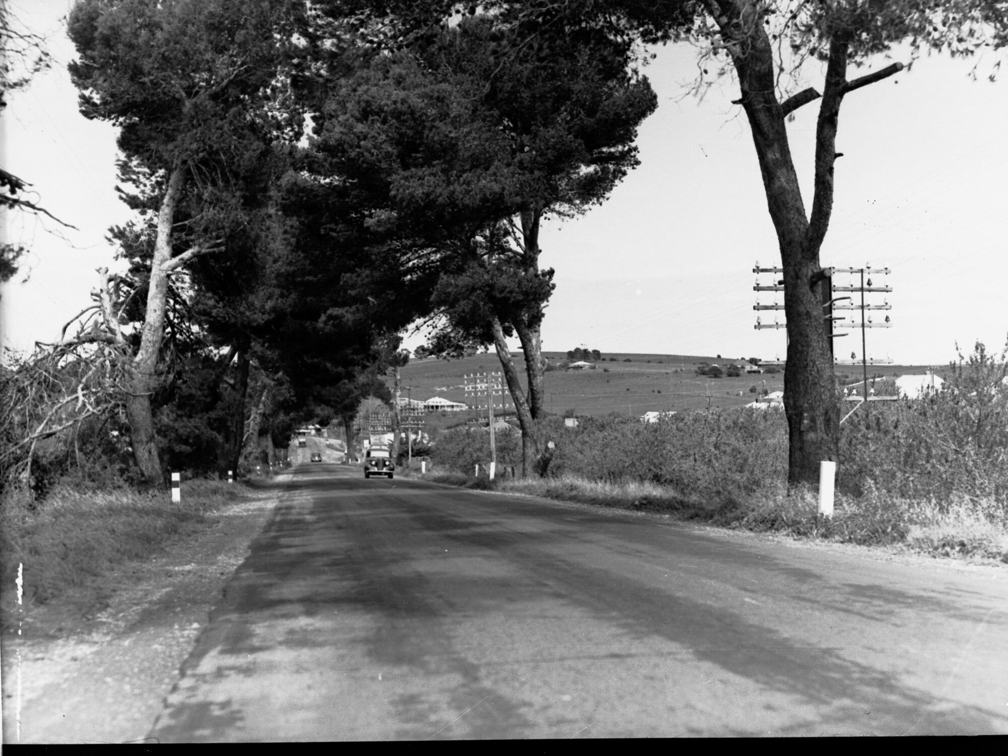 Road at Reynella