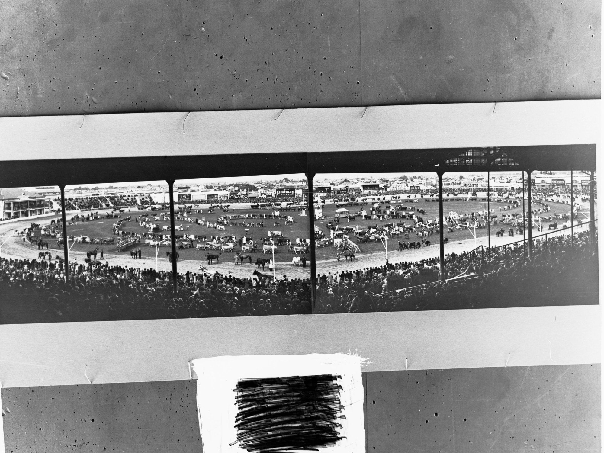 Grand Parade Royal Adelaide Show Wayville