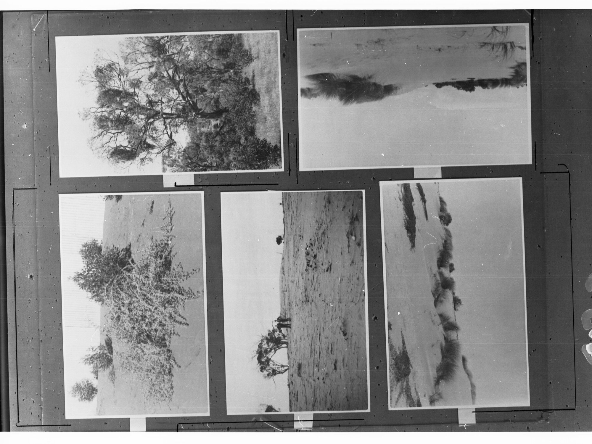 Desert Scenes