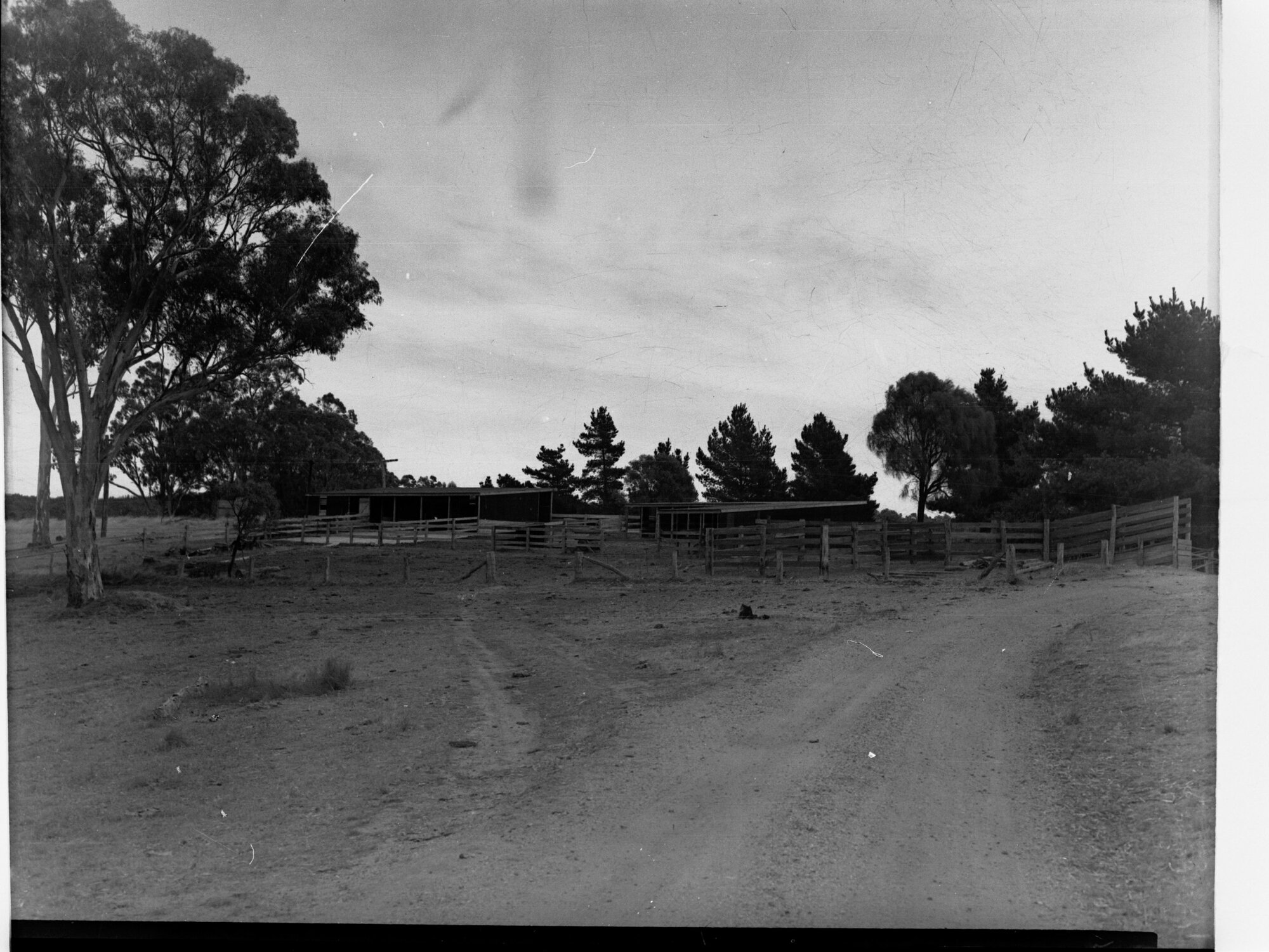 Engineering and Water Supply - Farm Sheds at Williamstown