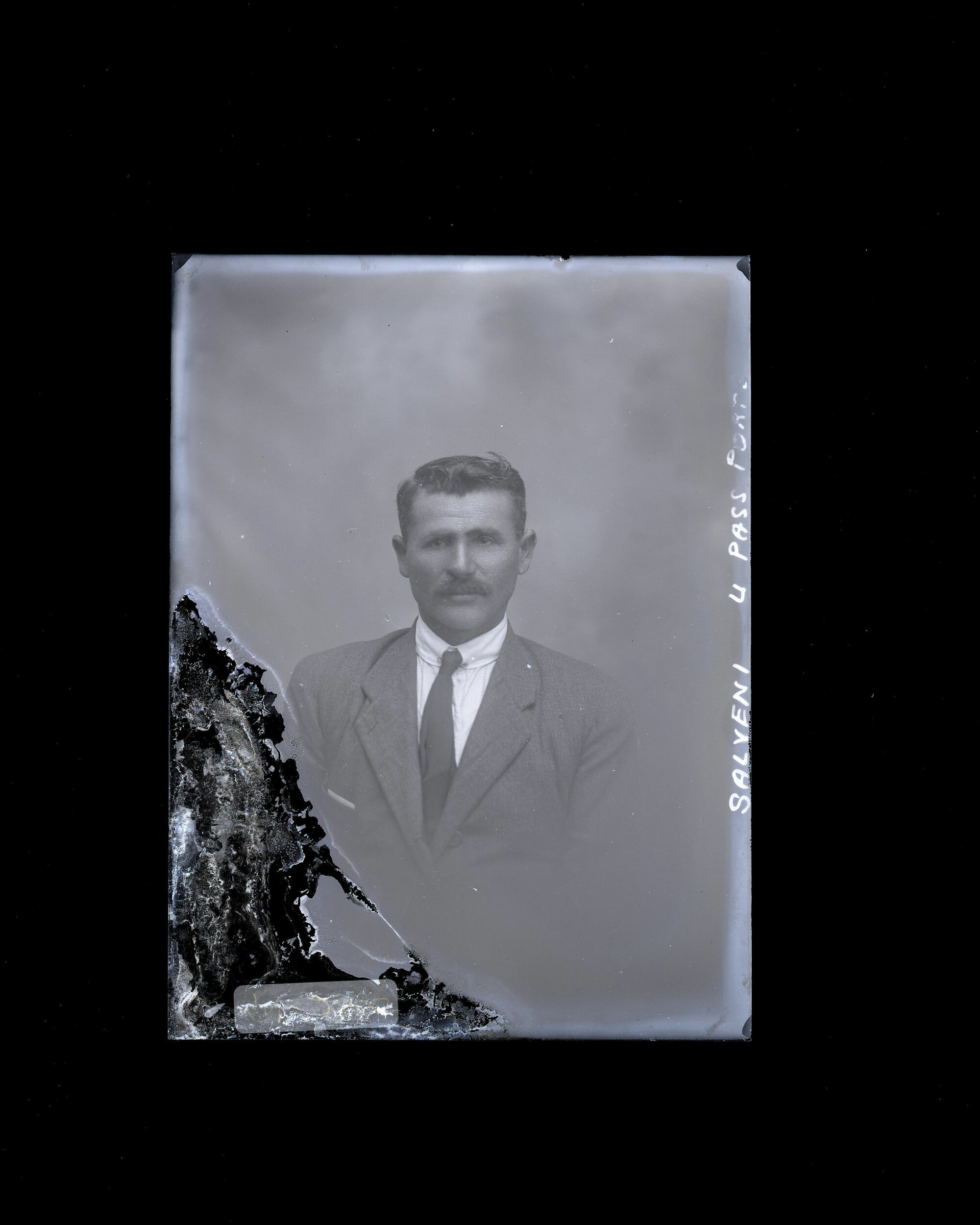Male - Salveni
