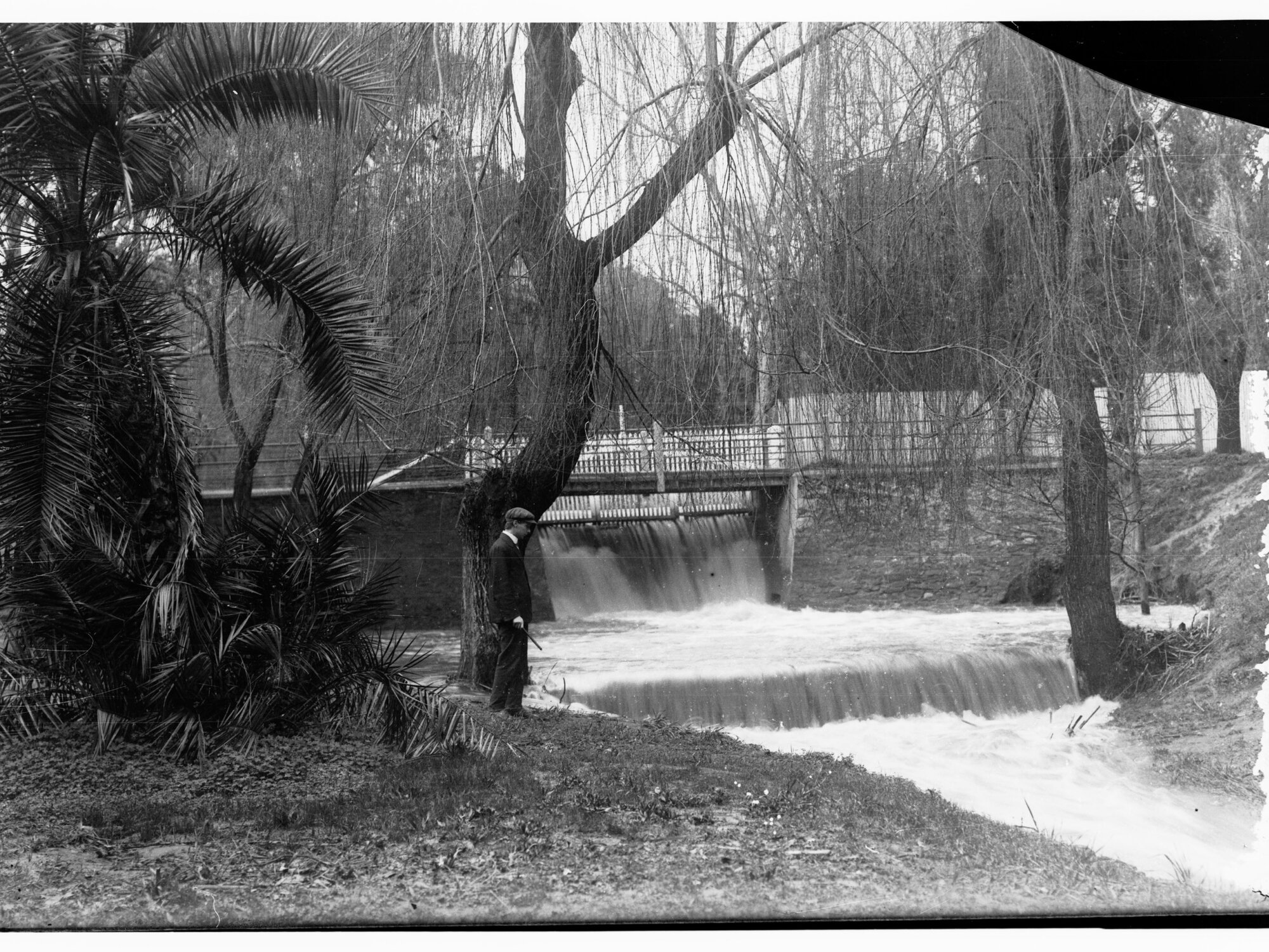 Botanic Park Waterfall