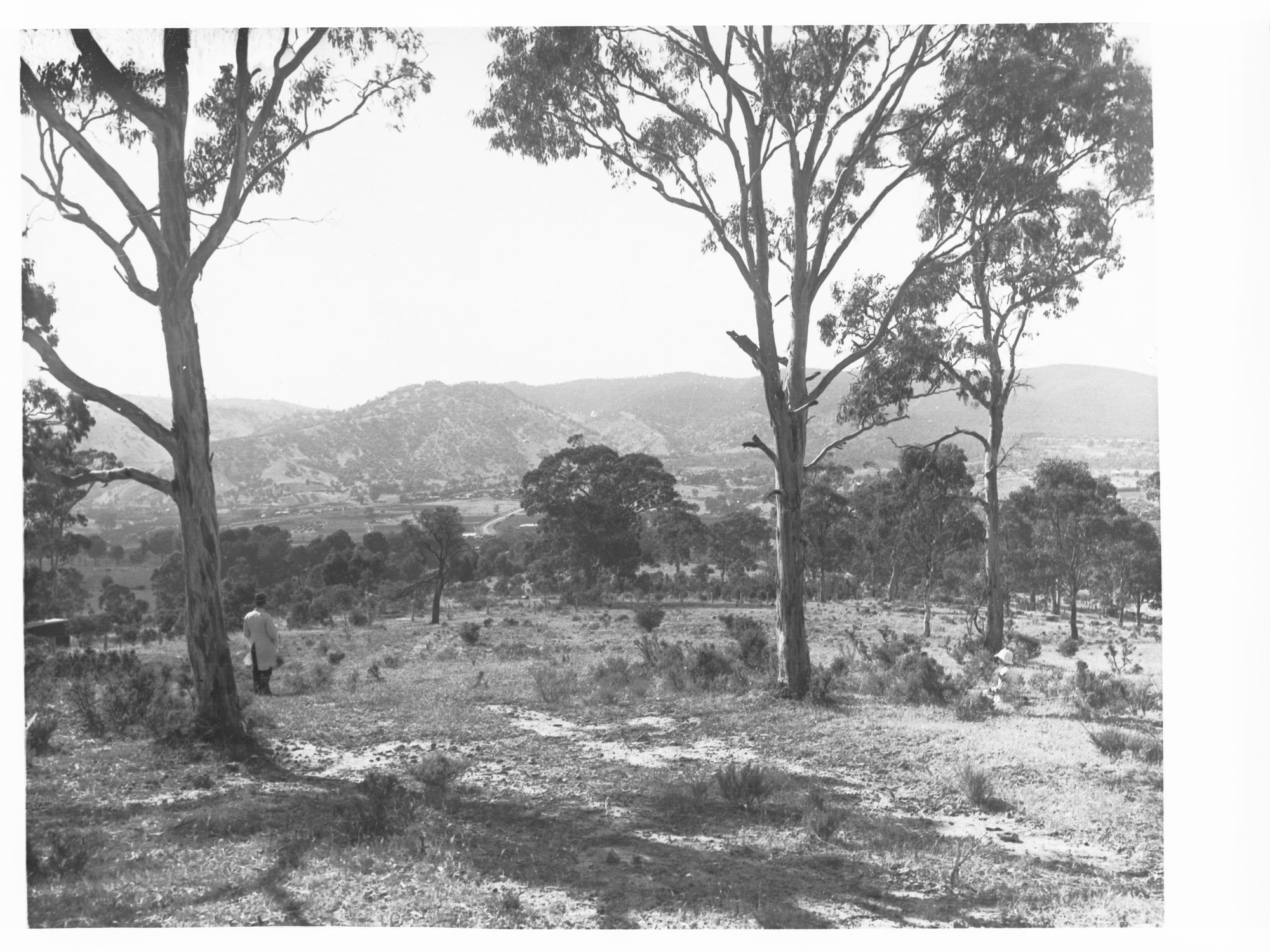 Torrens Valley From Highbury