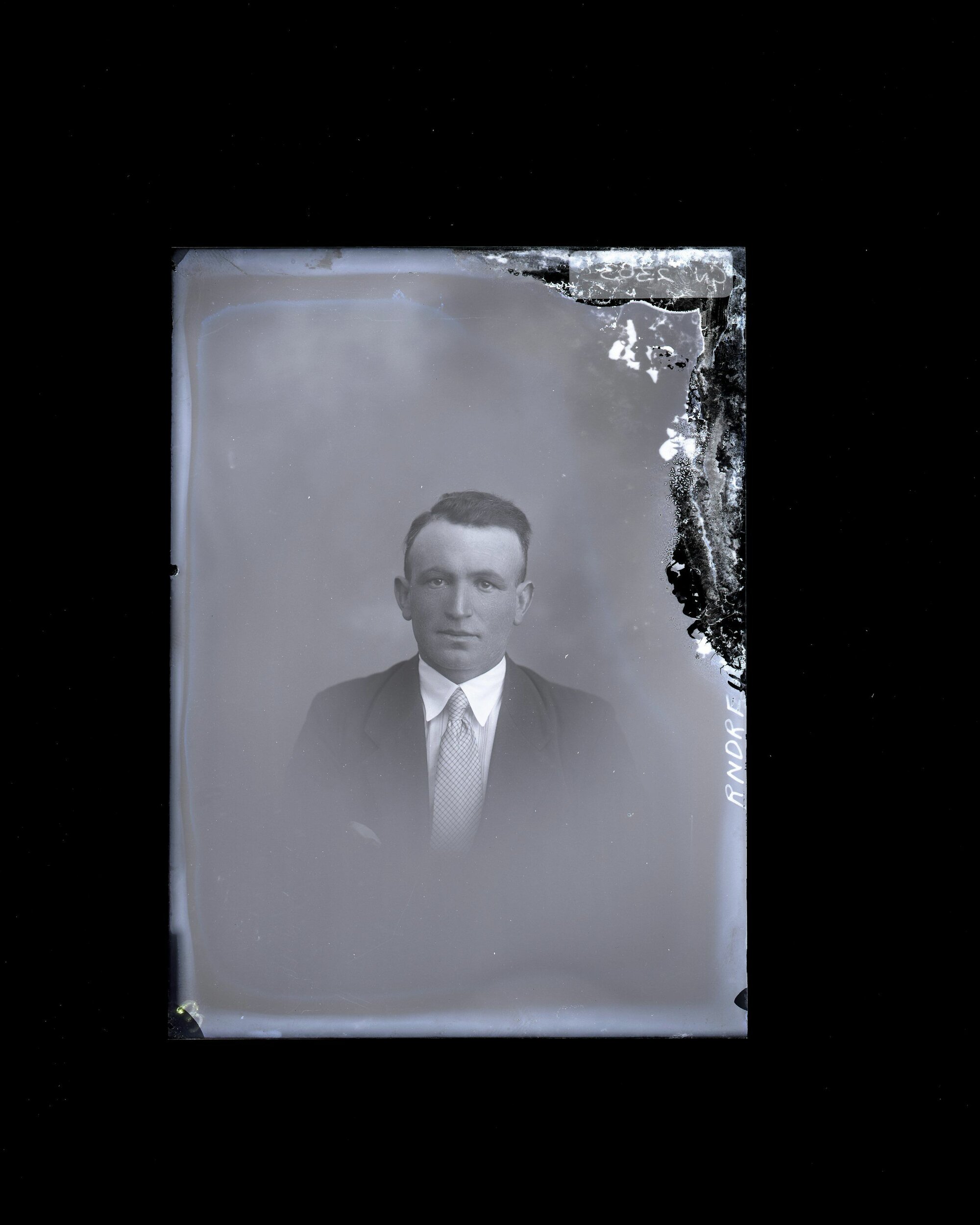 Male - Andrews