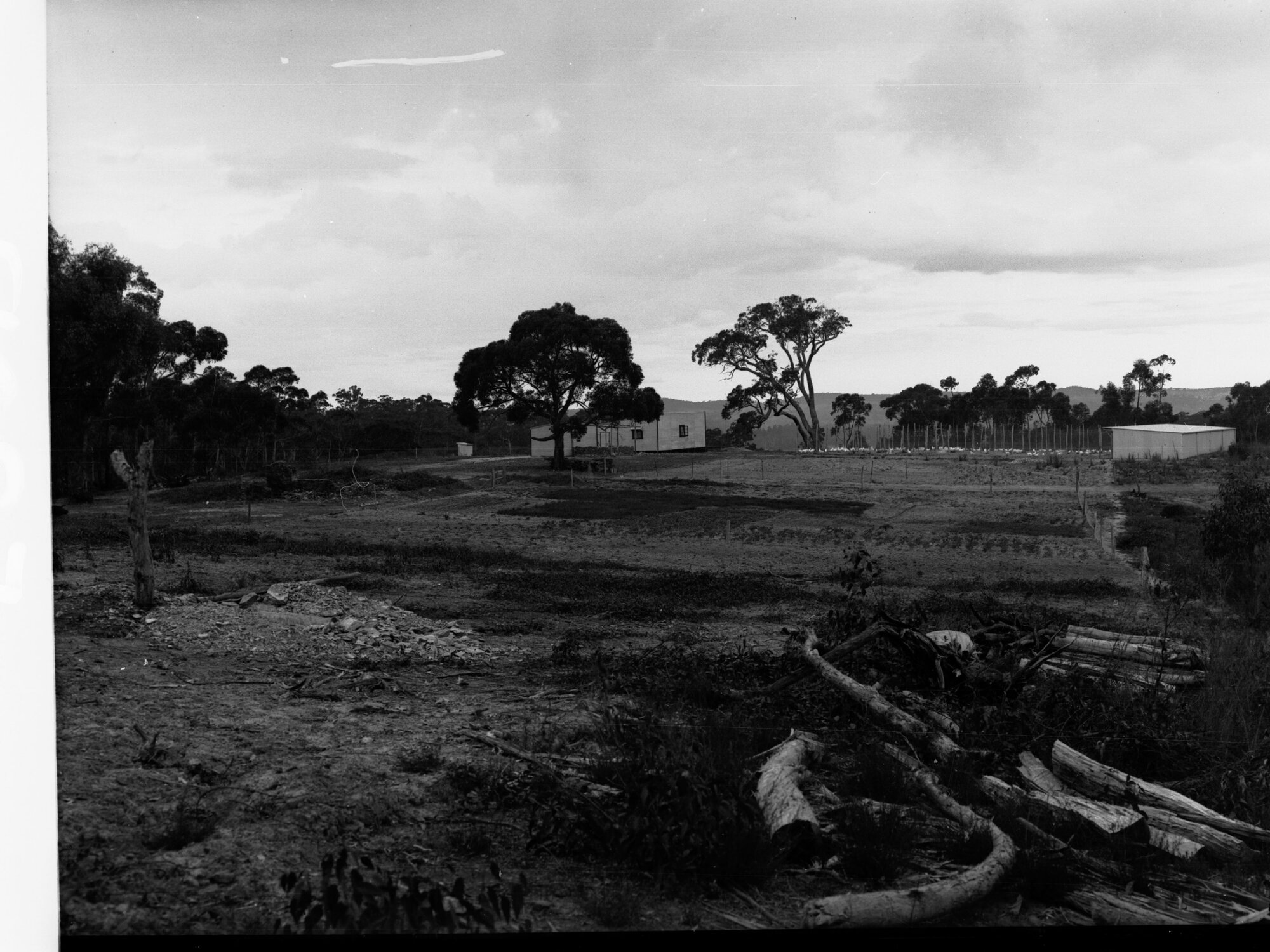 Bridgewater Poultry Settlement