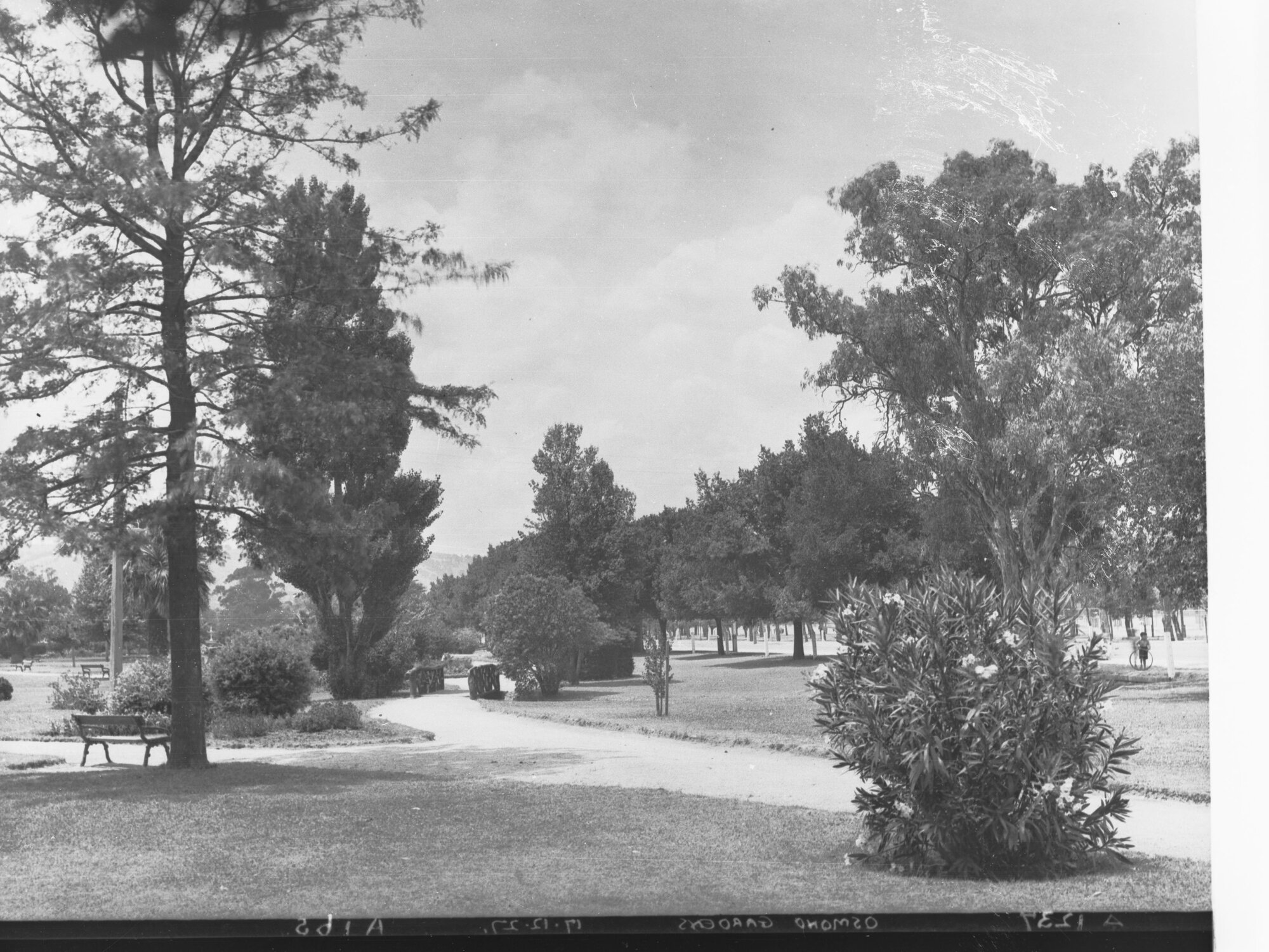 Osmond Gardens
