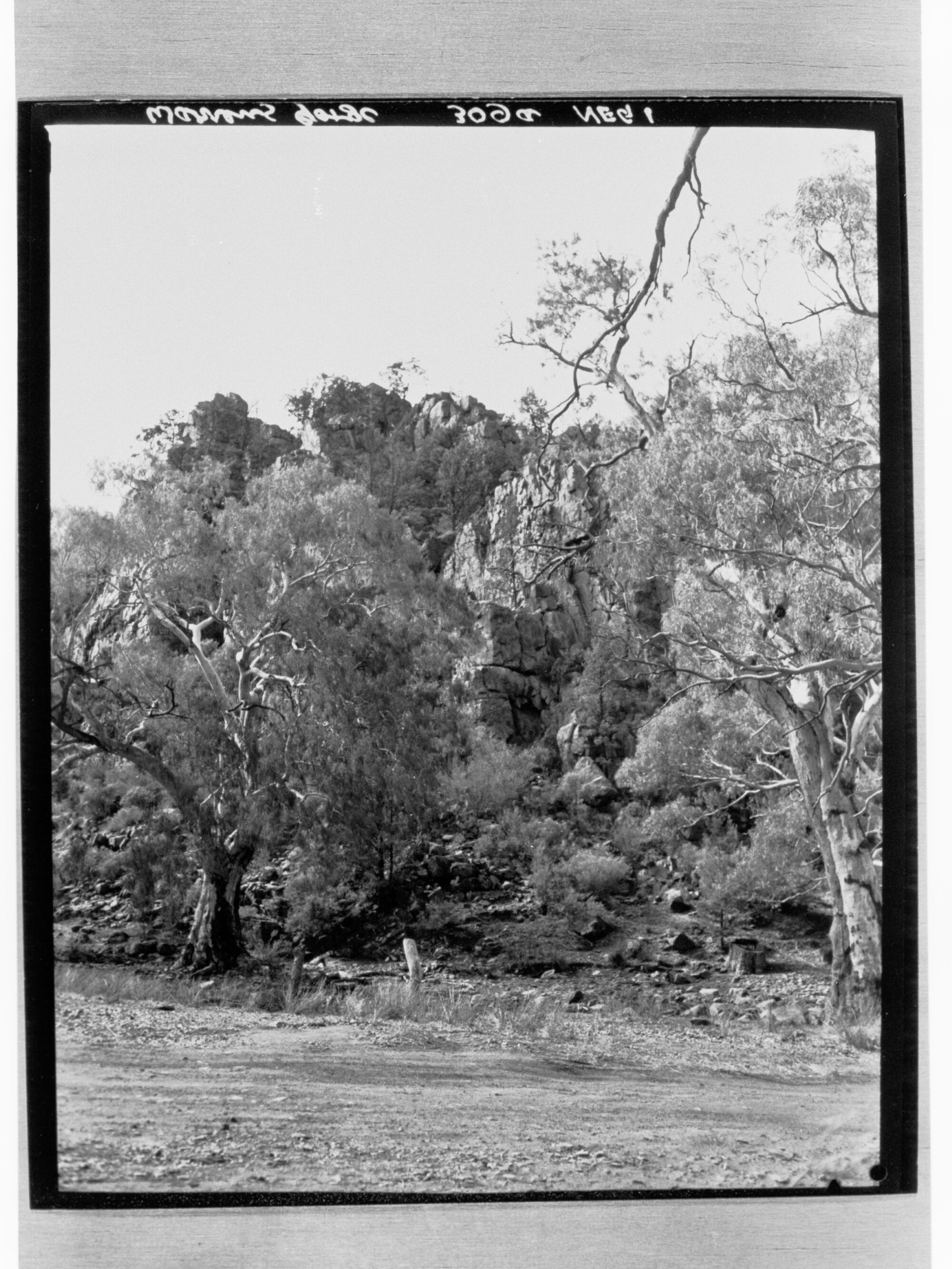 Warrens Gorge