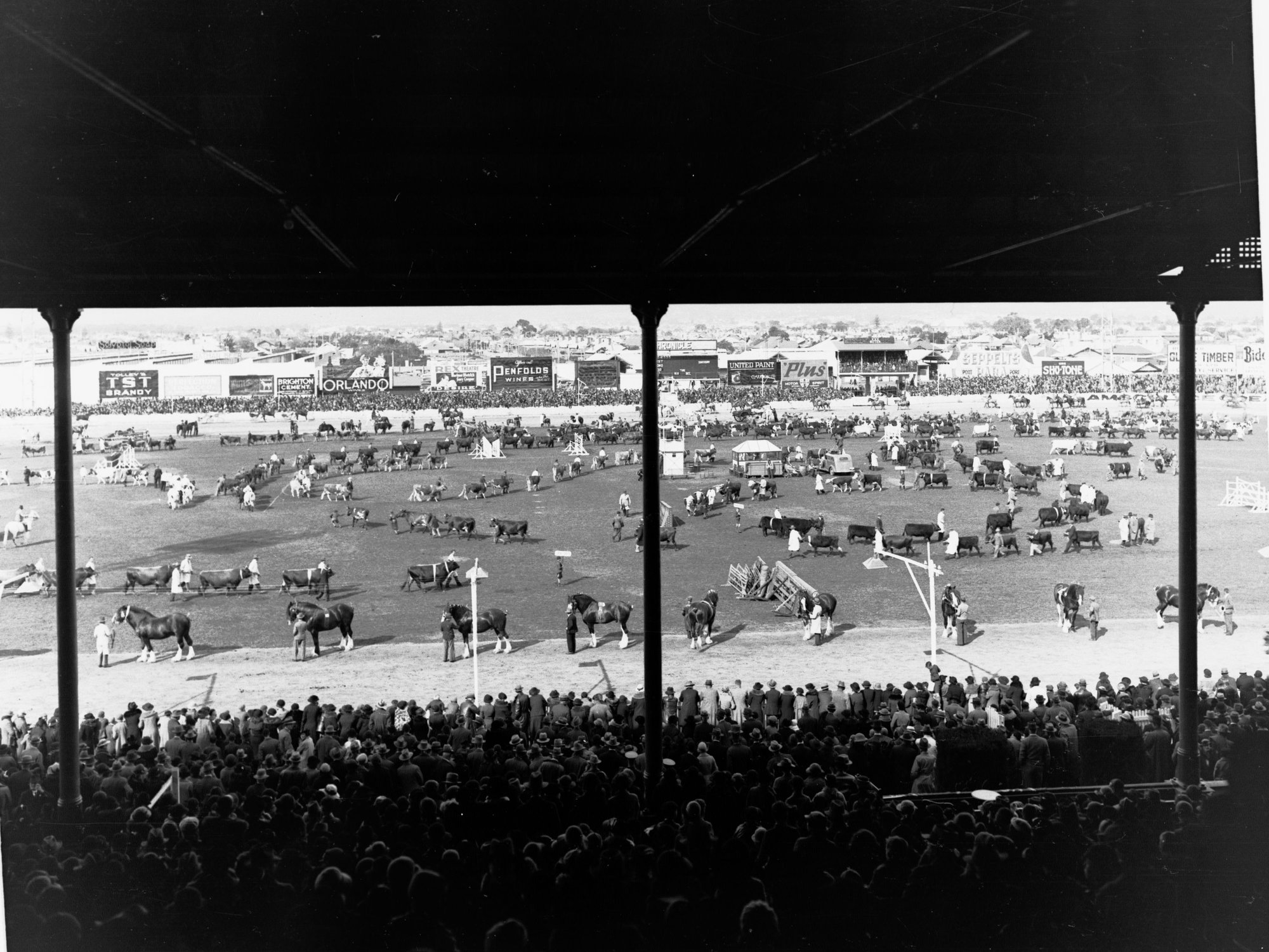 Grand Parade Royal Adelaide Show Wayville
