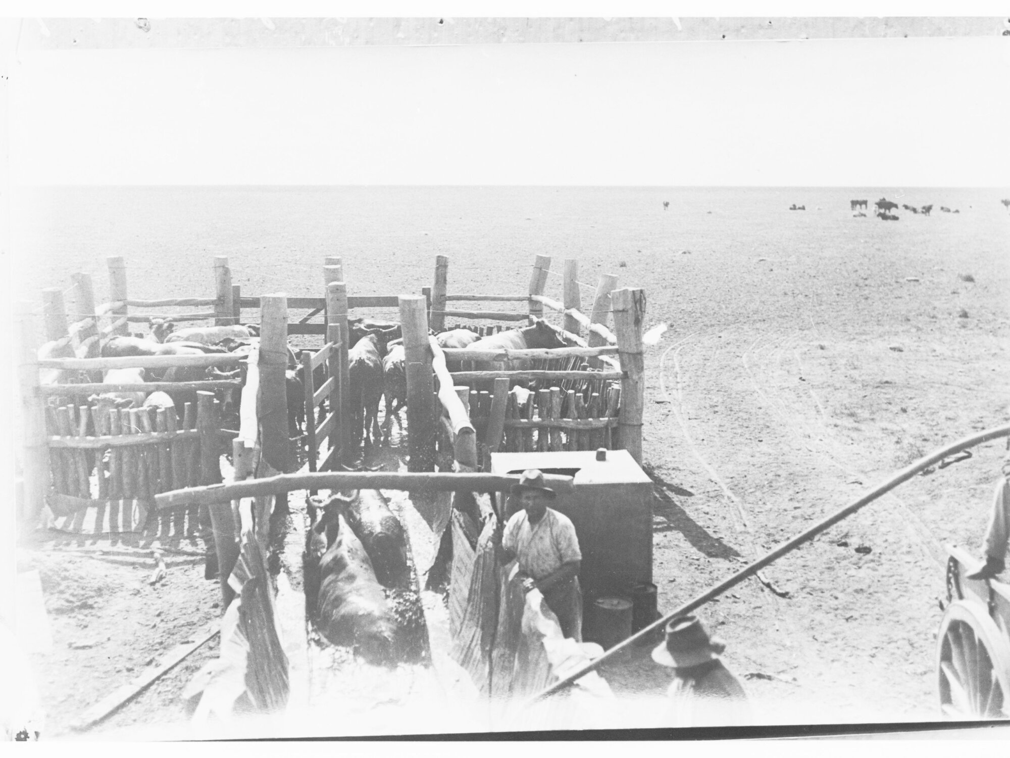 Cattle dip at Anthony's Lagoon - Northern Territory