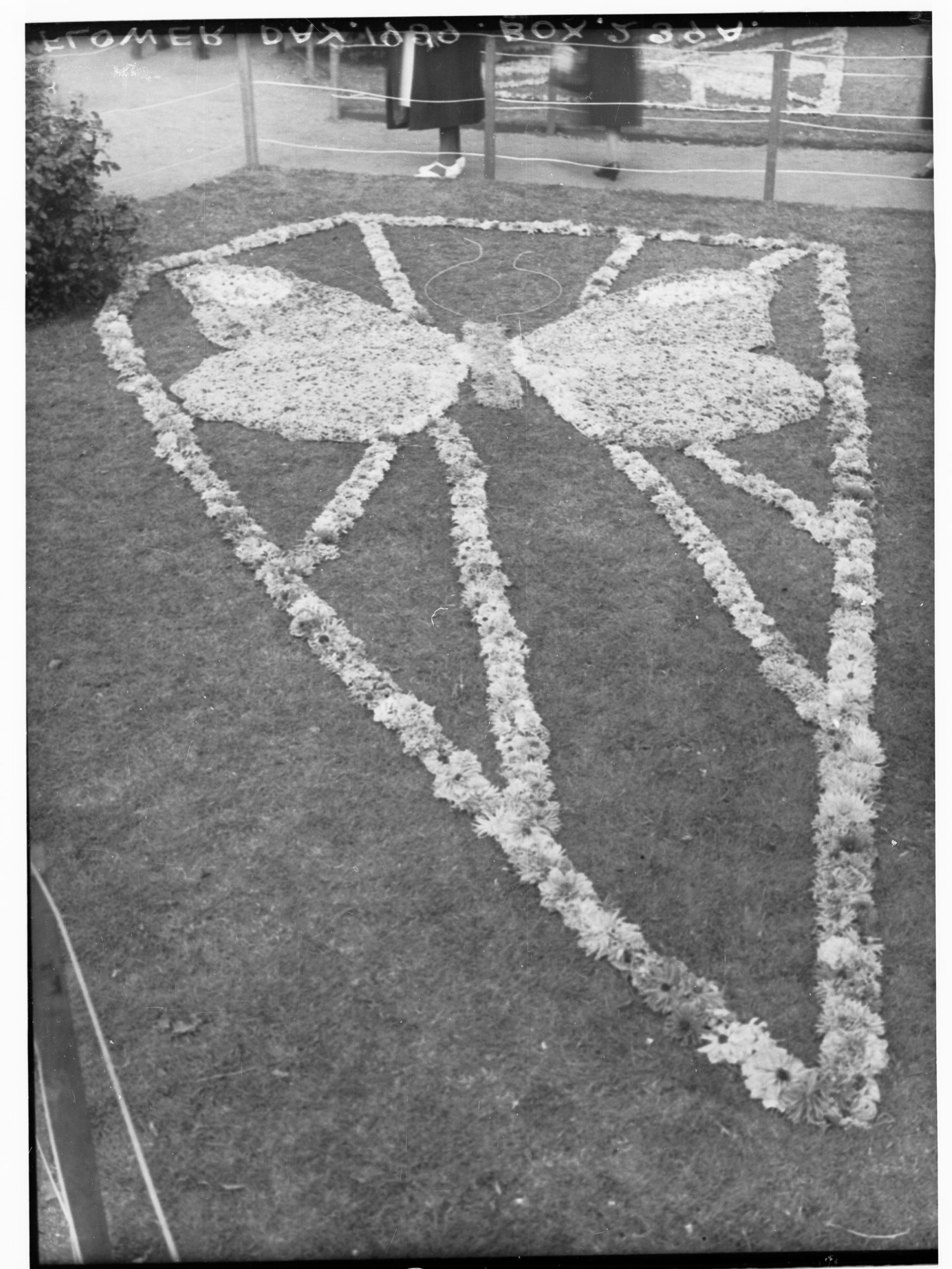 Floral Carpet for Flower Day