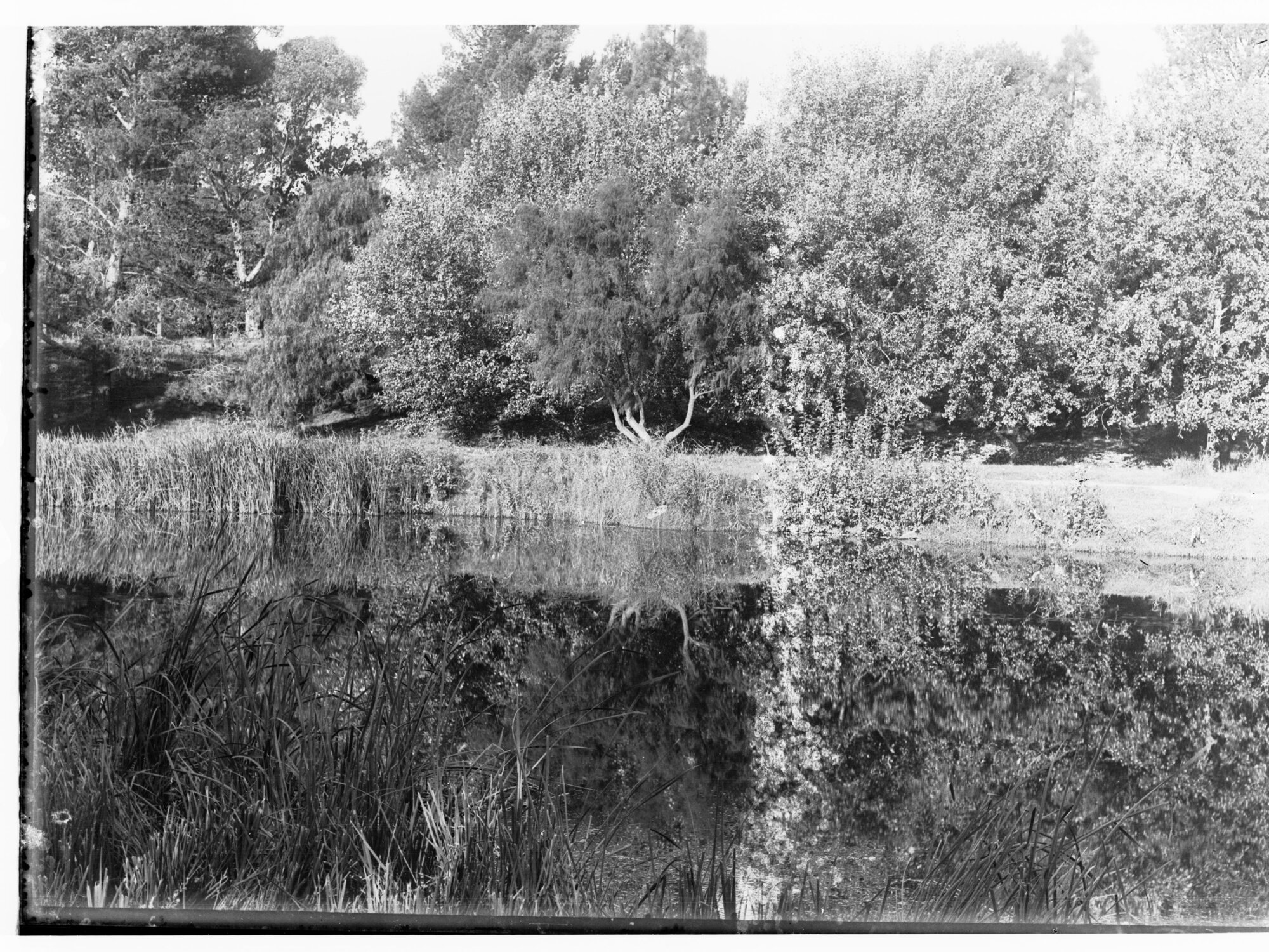 River Torrens