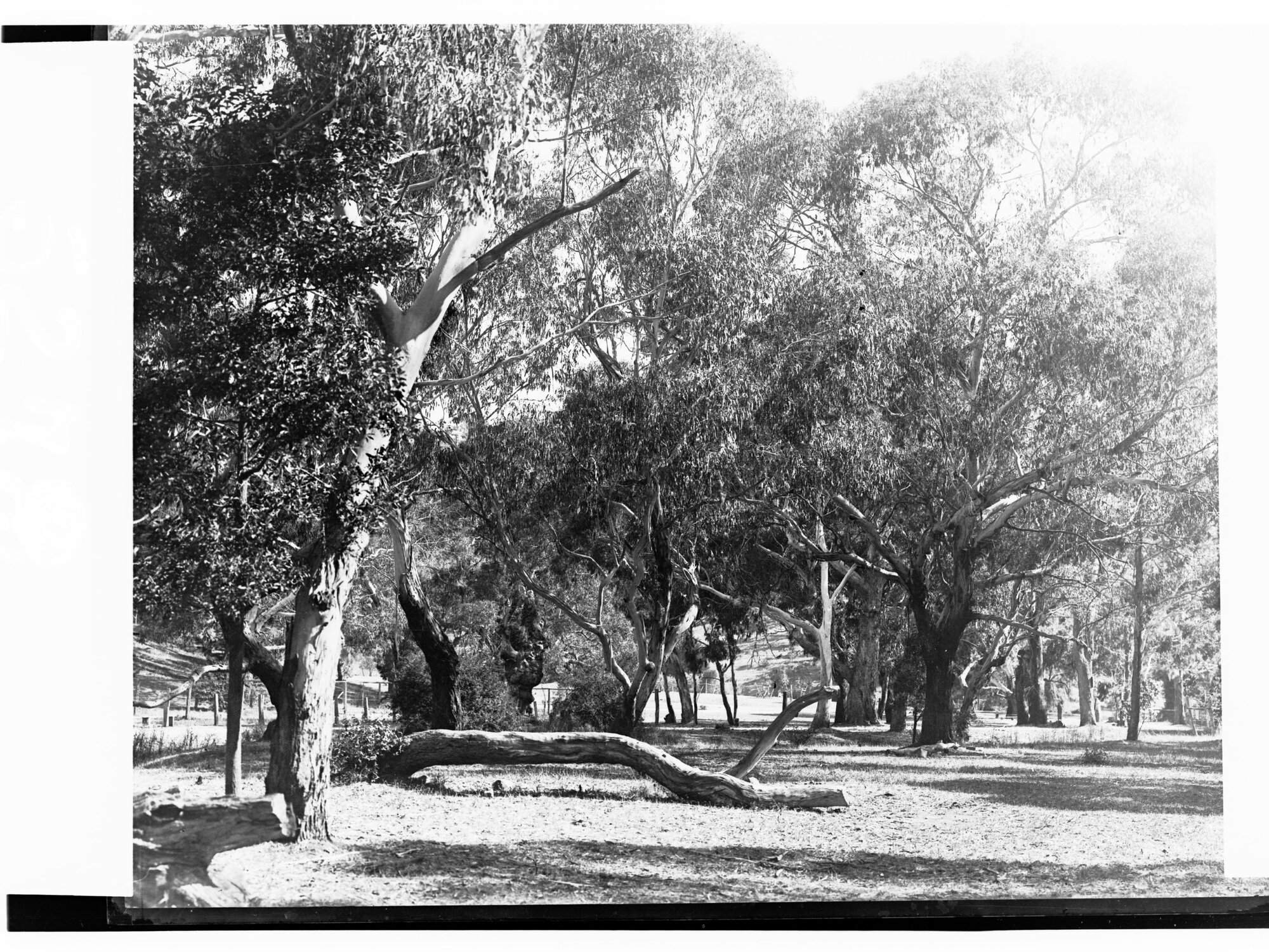 Belair National Park