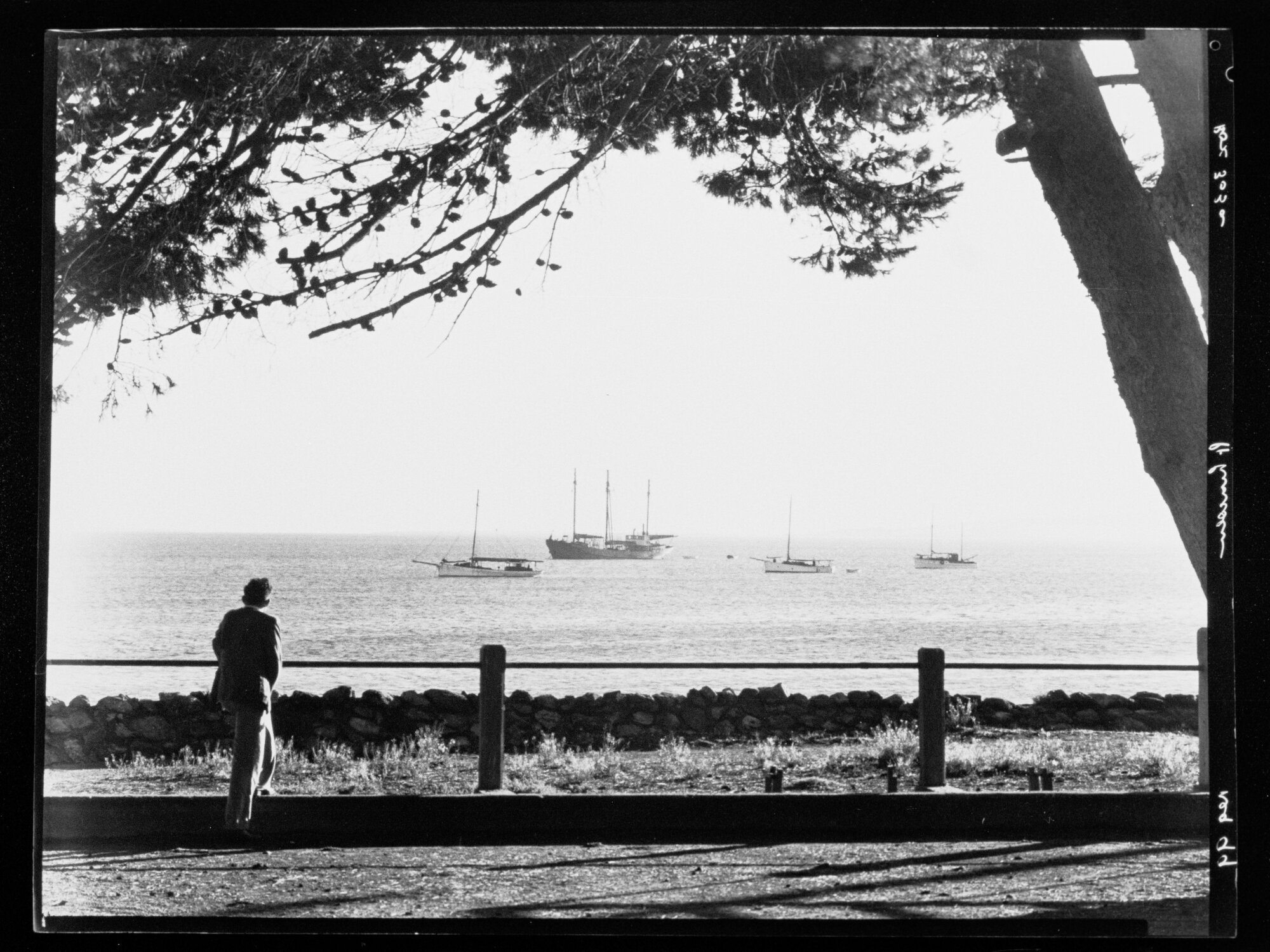 One man looking at yachts on water