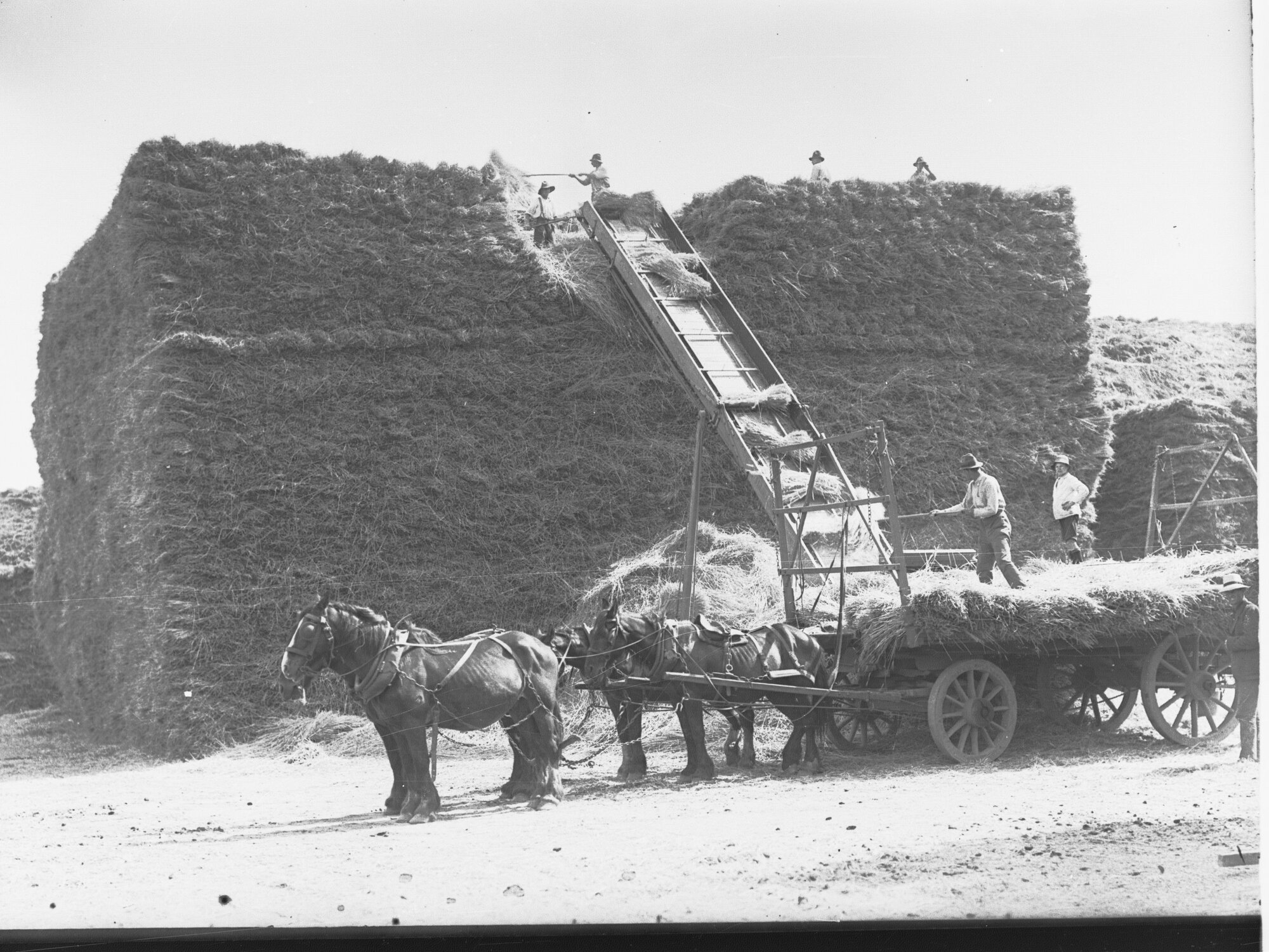 Building a Haystack Using Elevator