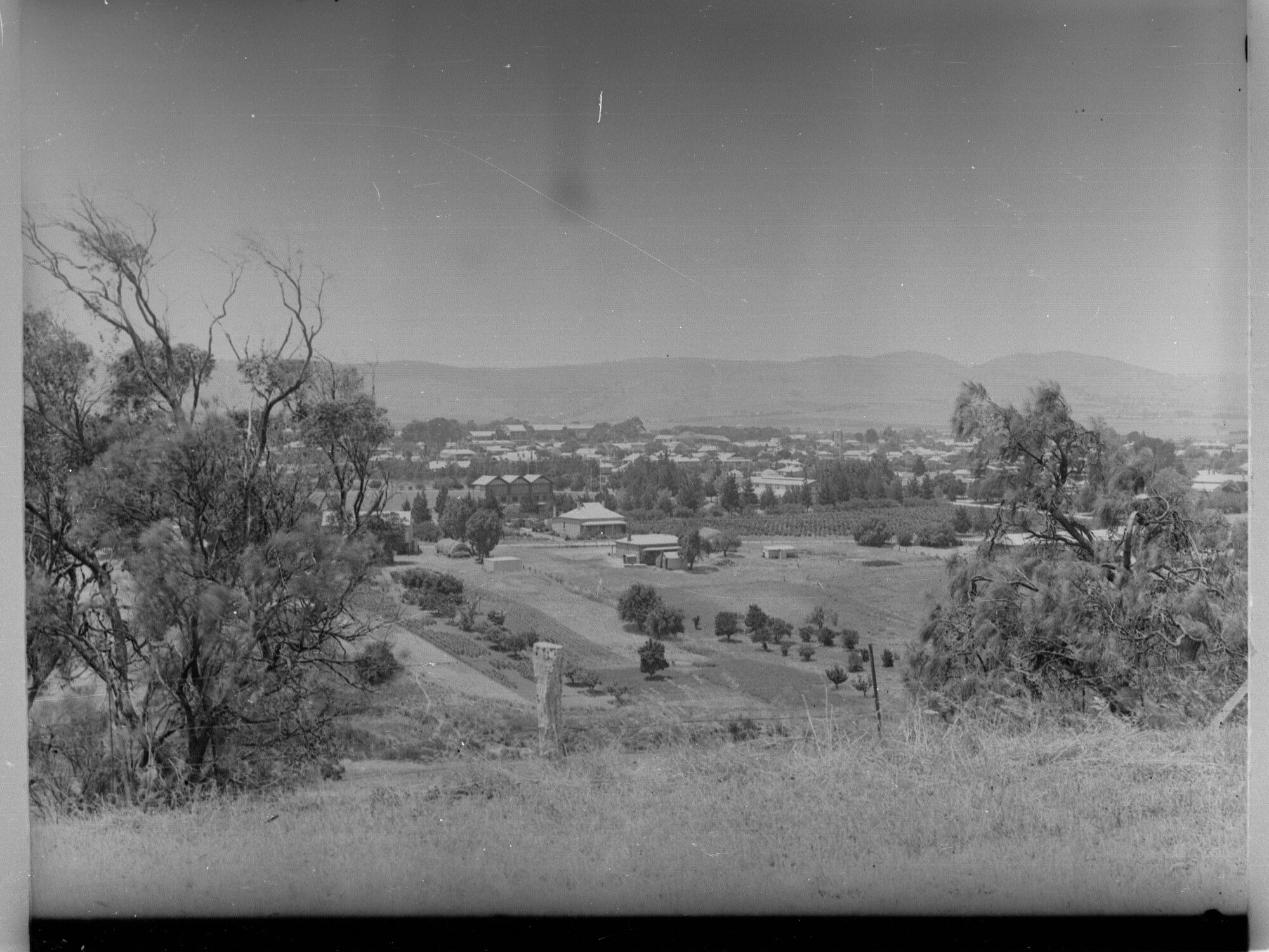 Township of Tanunda