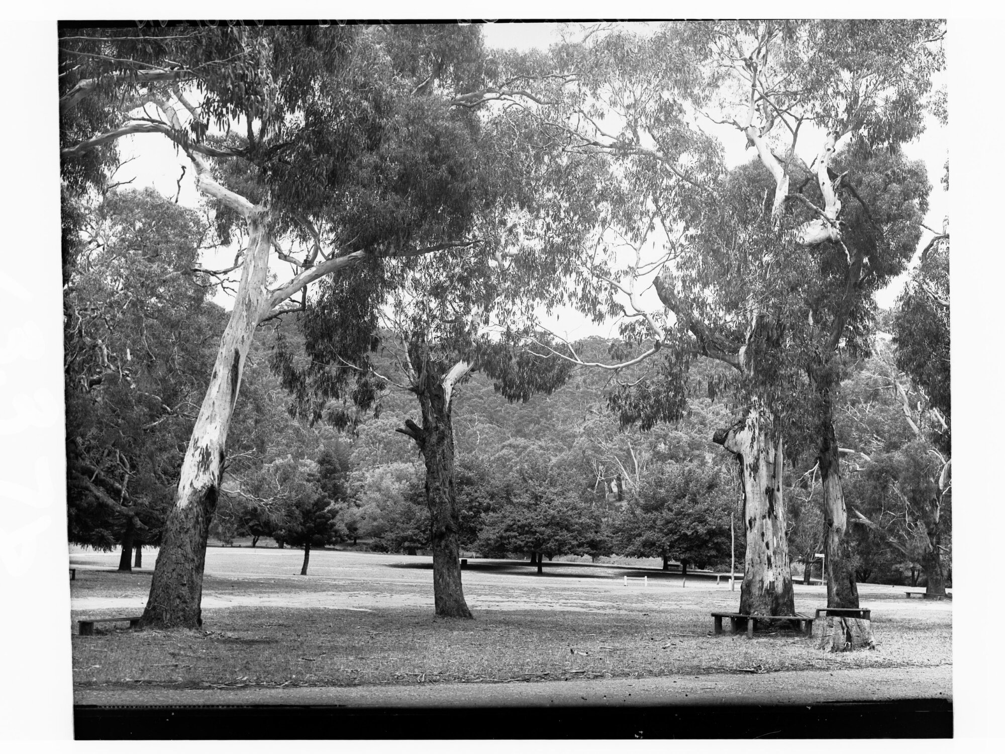 Belair National Park