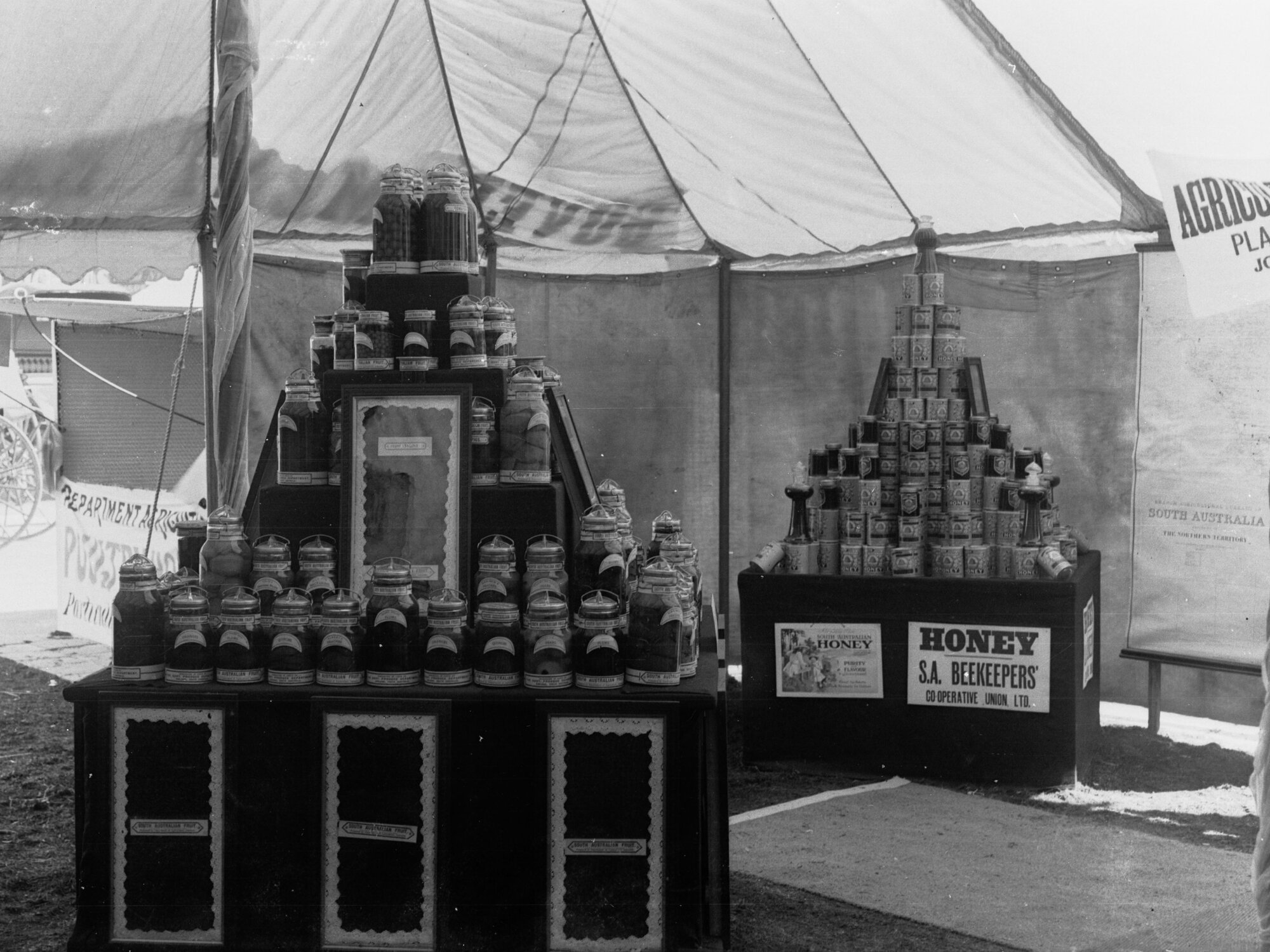 Government Exhibit, Adelaide Show, preserved fruits and honey