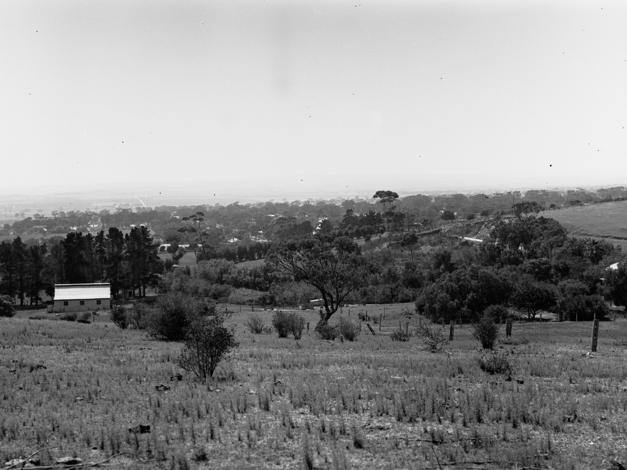 Willunga
