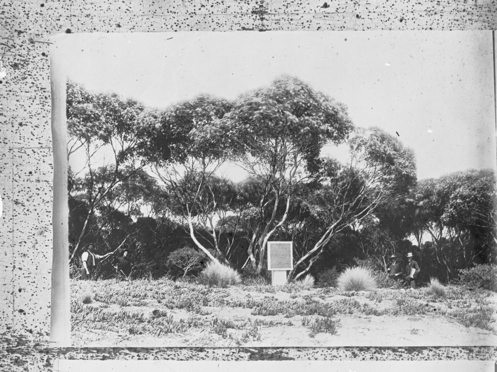 Memorial to Captain Flinders at Encounter Bay