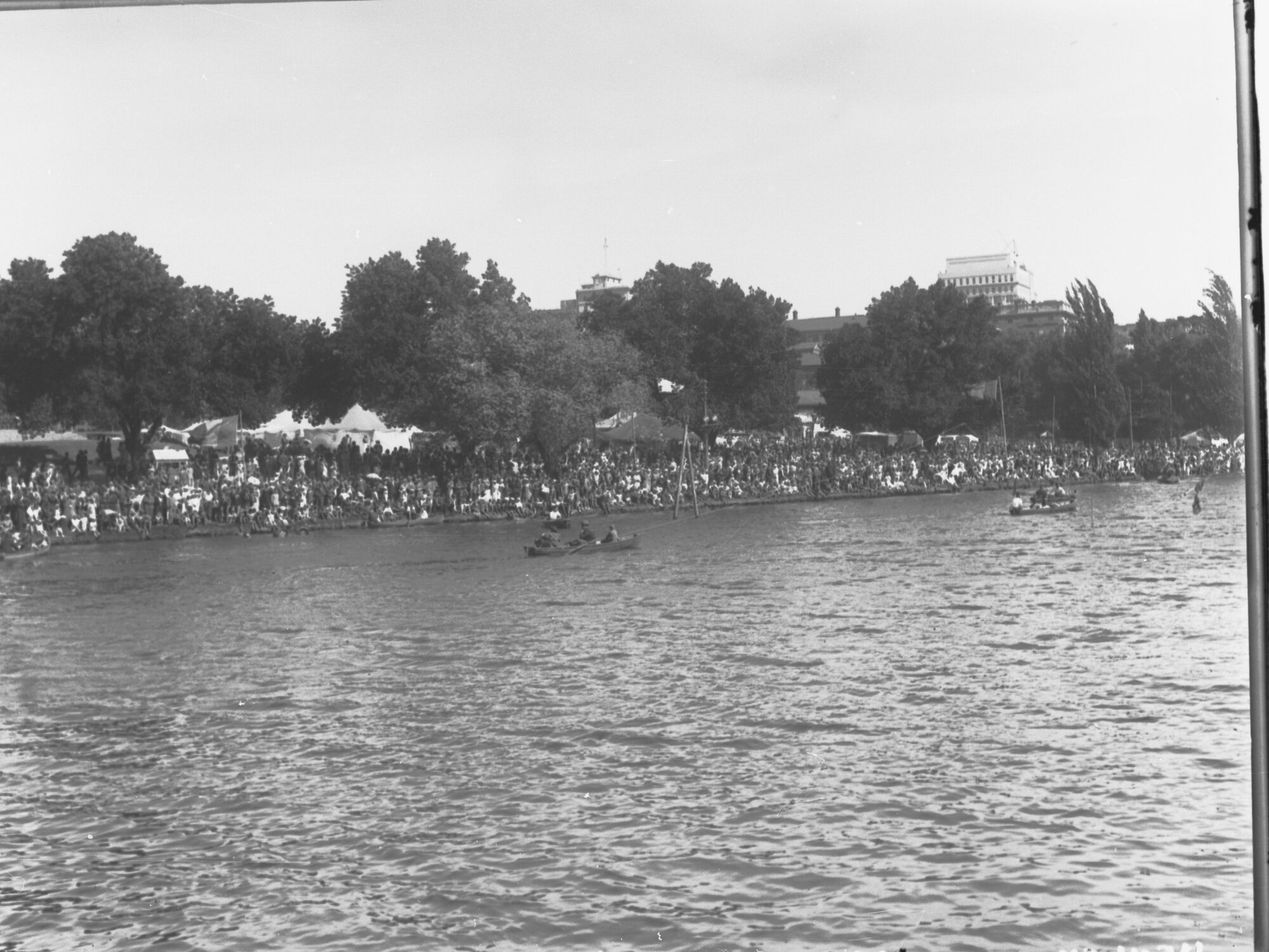Men Rowing on the River Torrens