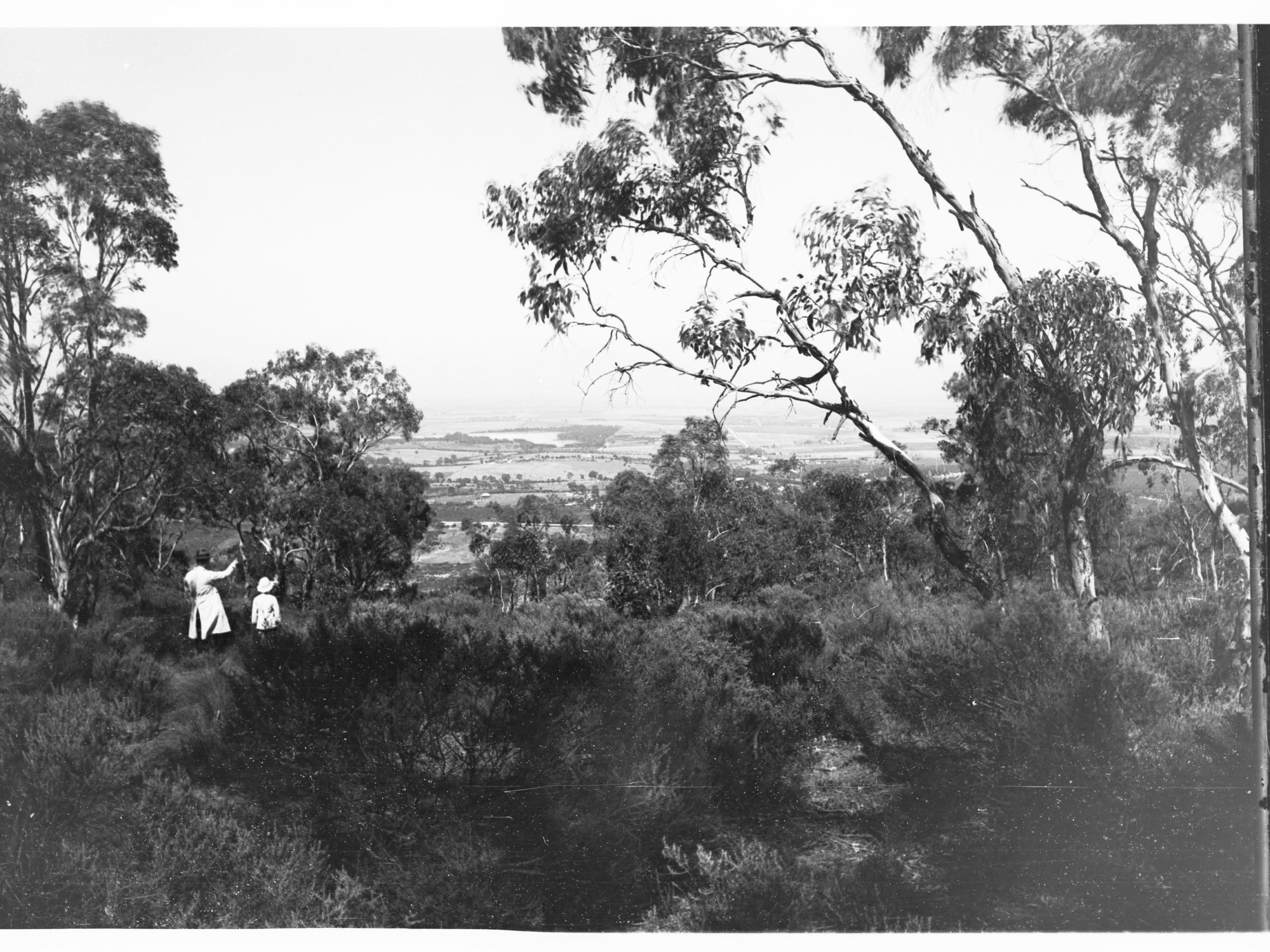 Hope Valley from Ansteys Hill