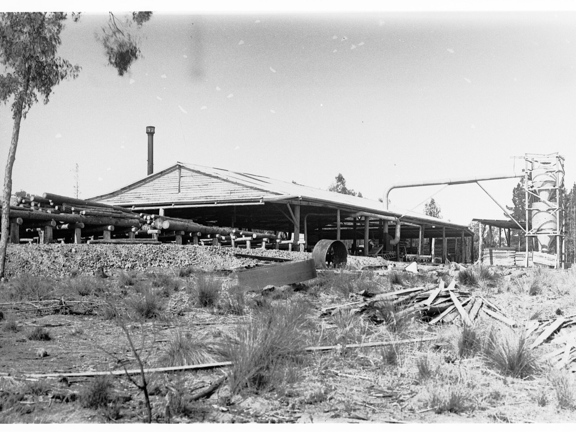 Timber Mill - Mount Burr