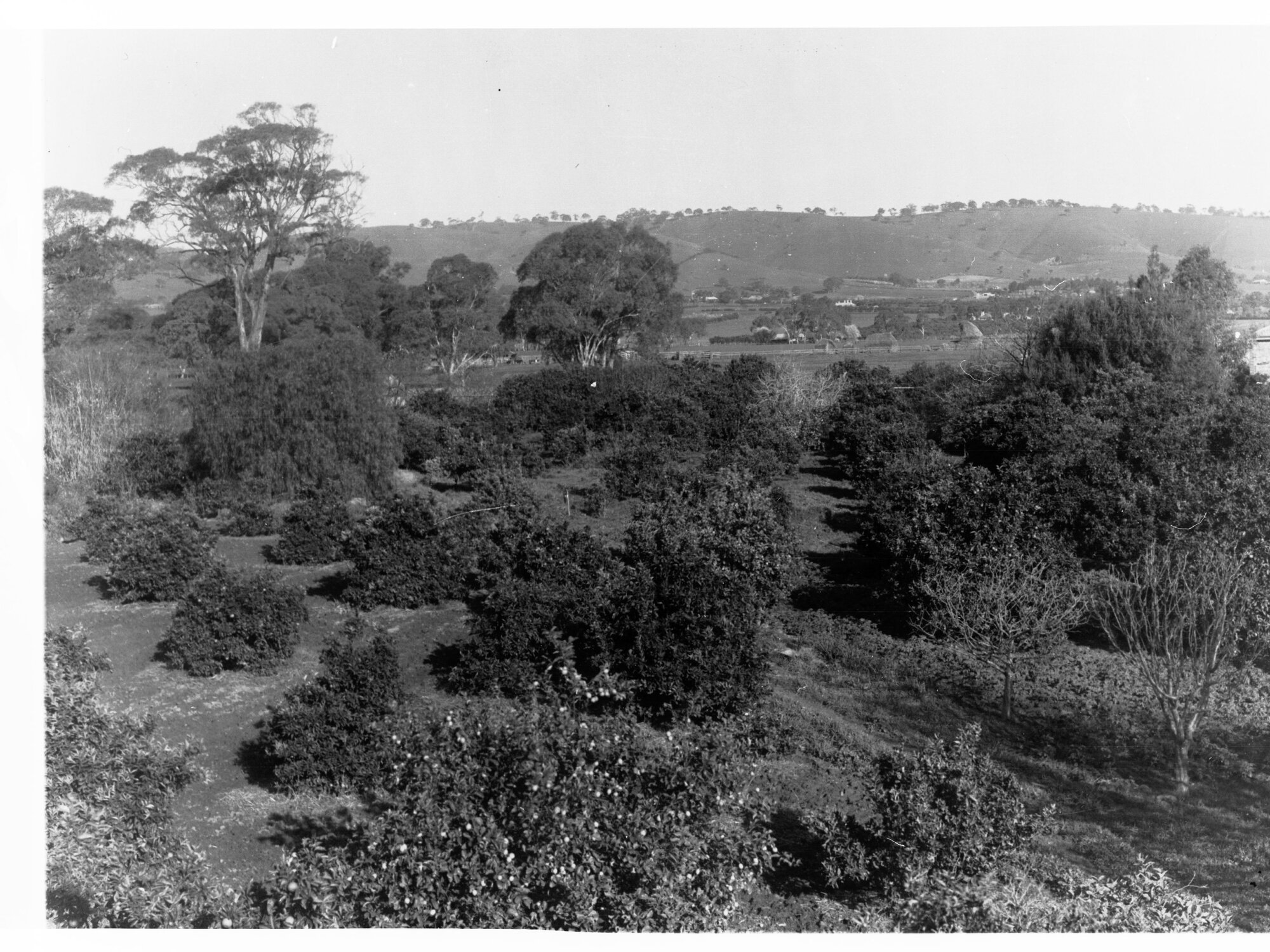 Rural View of Farms
