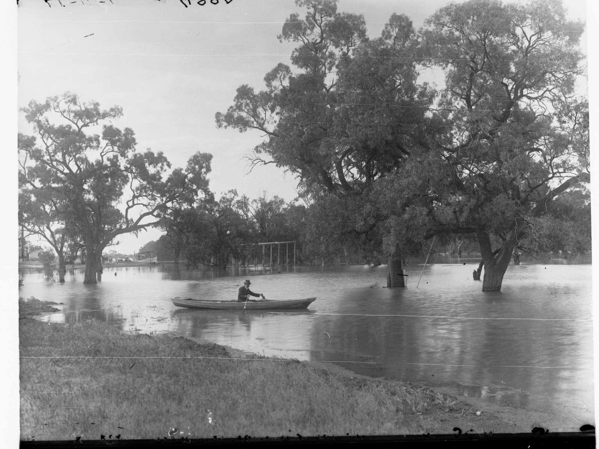 Murray River at Moorook
